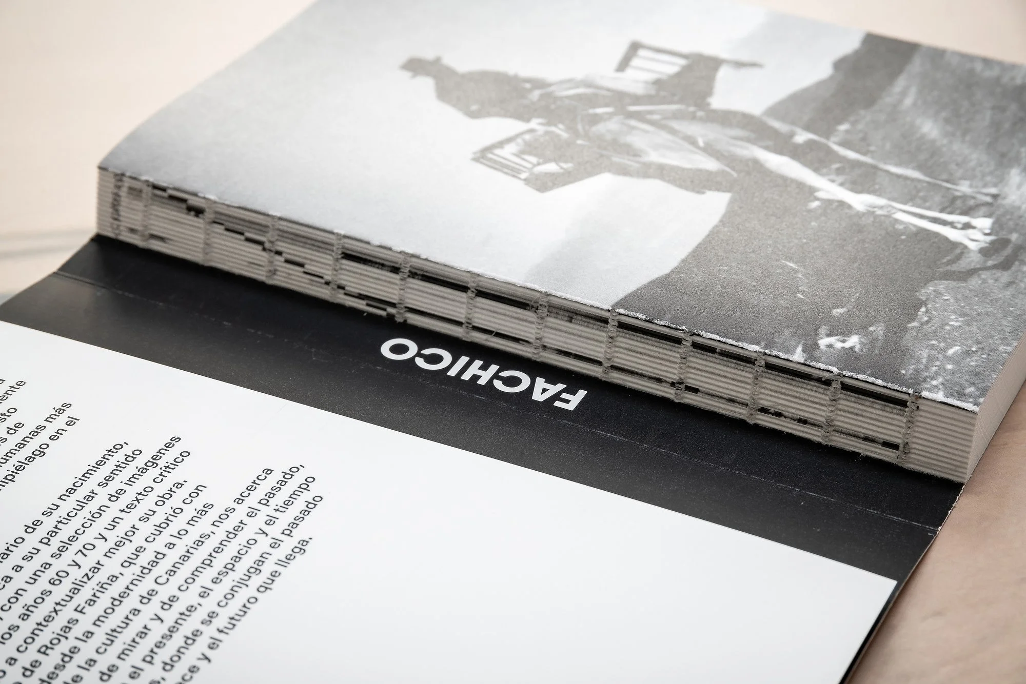 Fachico interior 003.jpg