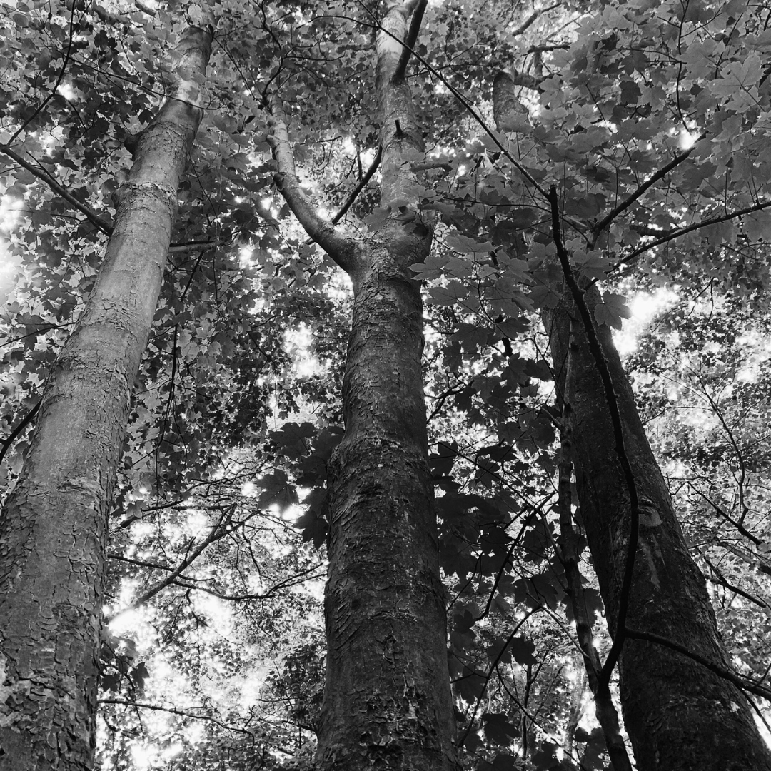 The Women Who Carry Us Across Time