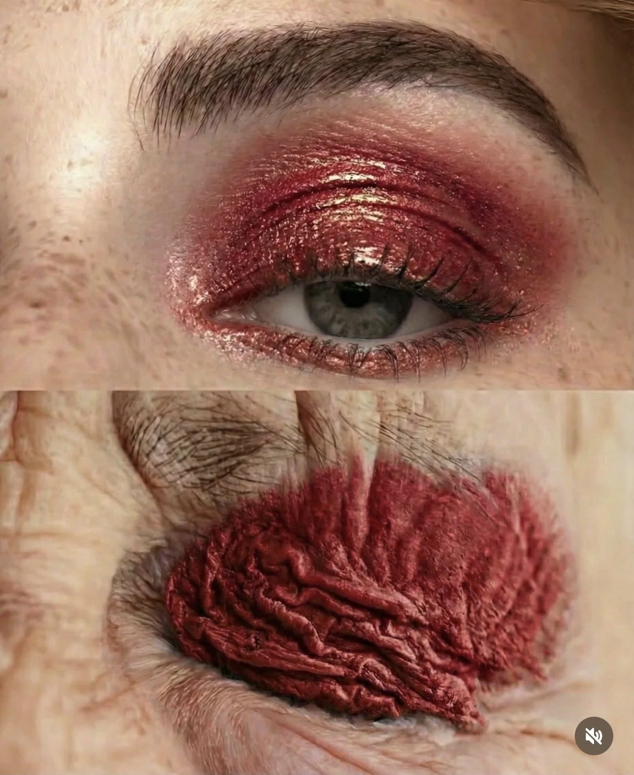 Quand l’art raconte ce que la science observe