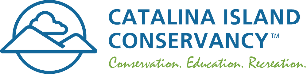 CIC+Horizontal+w+Script+-+Darker+Green+tagline+(2)+(1).png