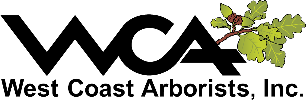 WCA-Logo_gradient_color_marginless.png