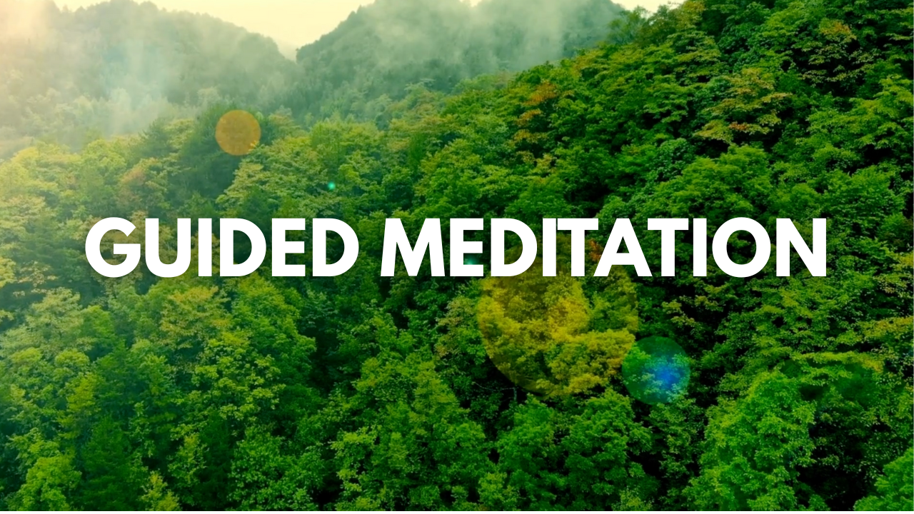 Text overlay on a lush green forest background reading "Guided Meditation"