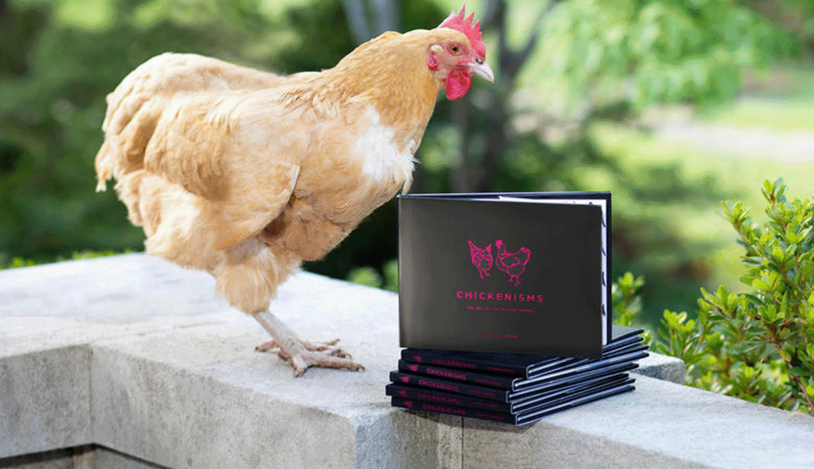 How chickens hatched an artist’s voice