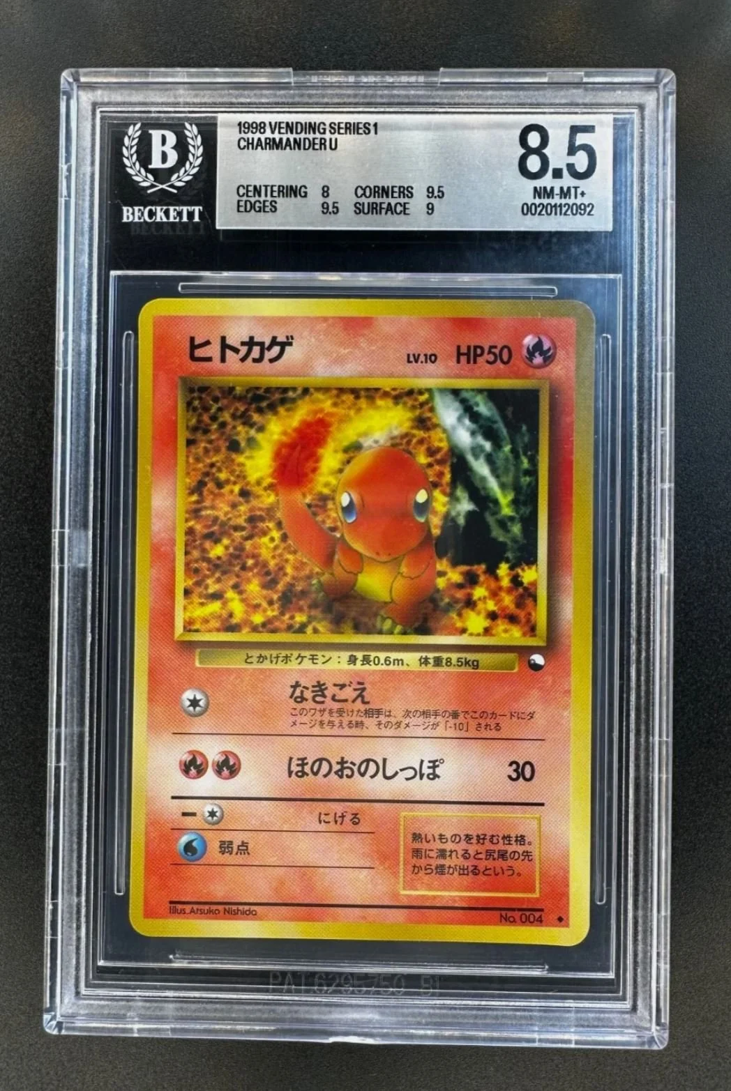 charmander.JPG