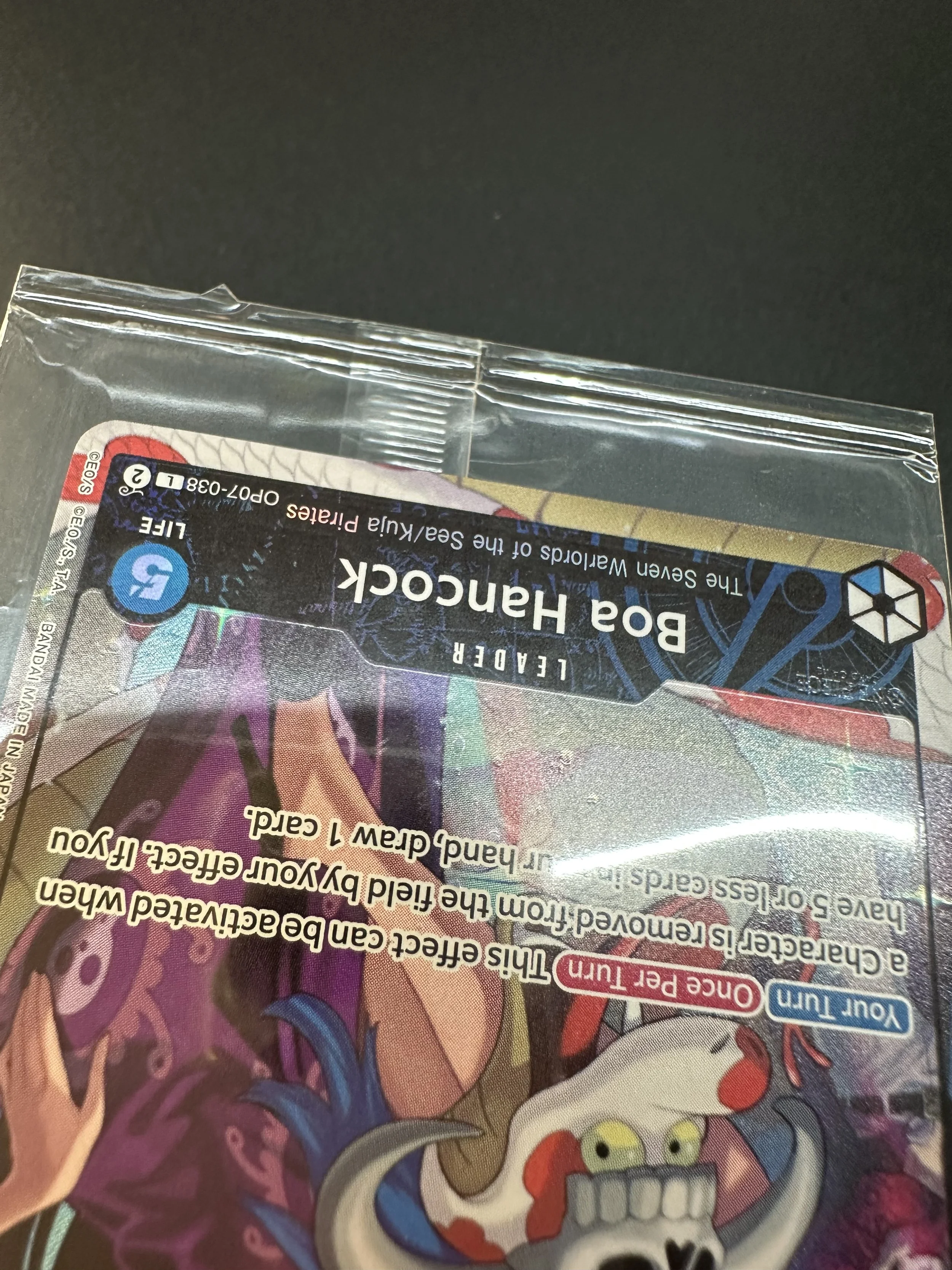 IMG_0156.jpeg