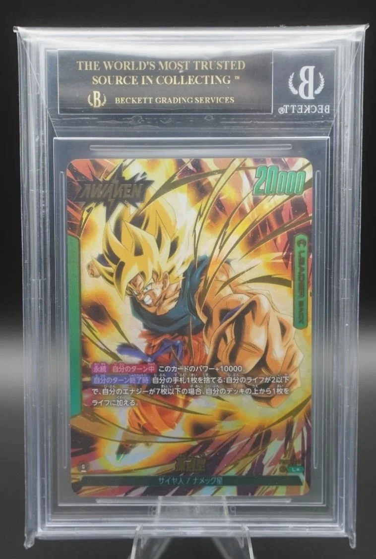 goku bl back.JPG