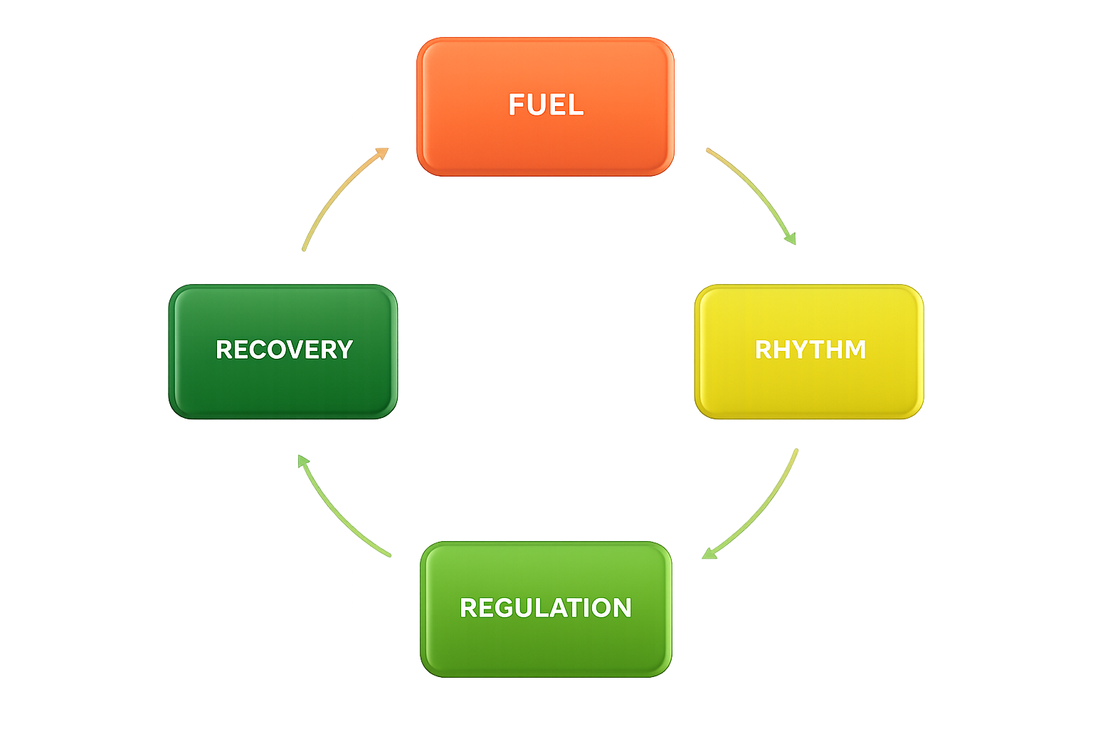 EZB Vitality pillar diagram showing the cycle of what builds true Viality, including Fuel, Rhythm, Regulation, and Recovery.