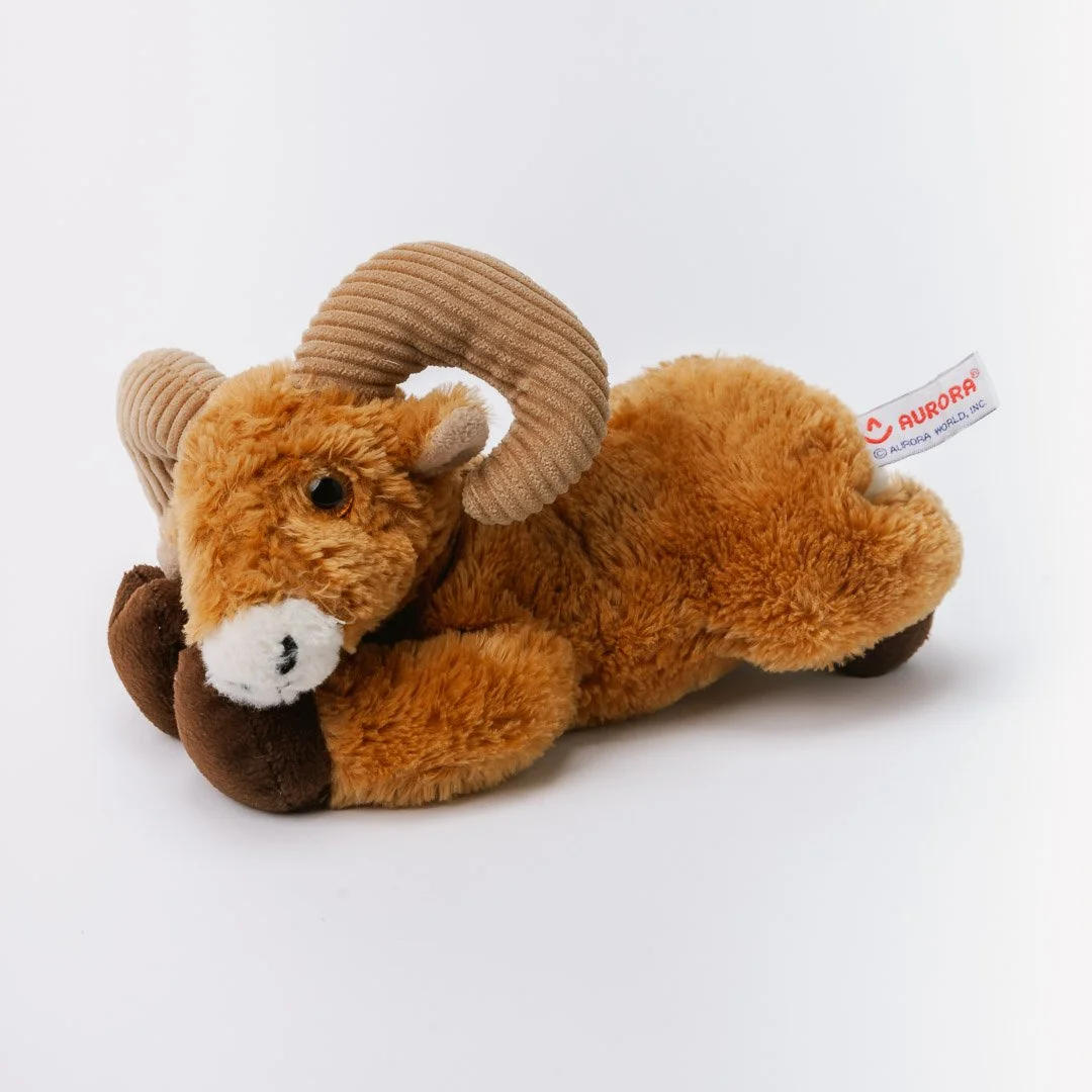 TOYS_052925-151.jpg