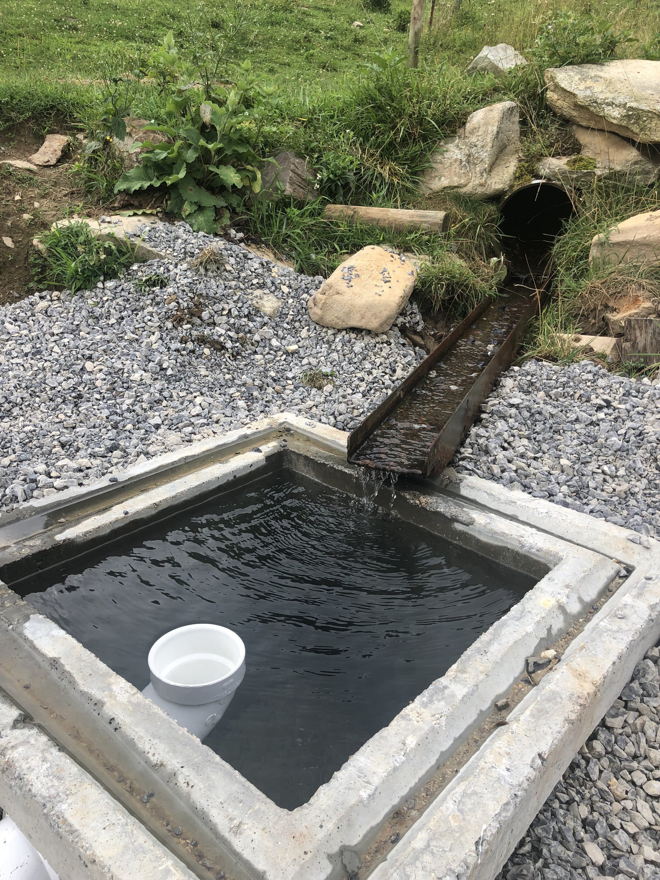 Springs of Living Water