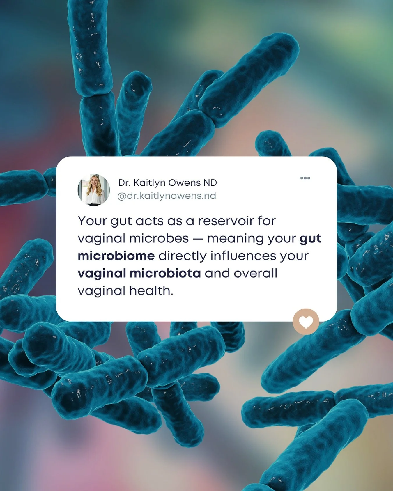 Did you know your gut and vaginal microbiomes are connected? 🔁

Research shows that the gut acts as a reservoir for vaginal microbes, especially beneficial Lactobacillus species &mdash; the bacteria that help maintain a healthy vaginal pH and protec