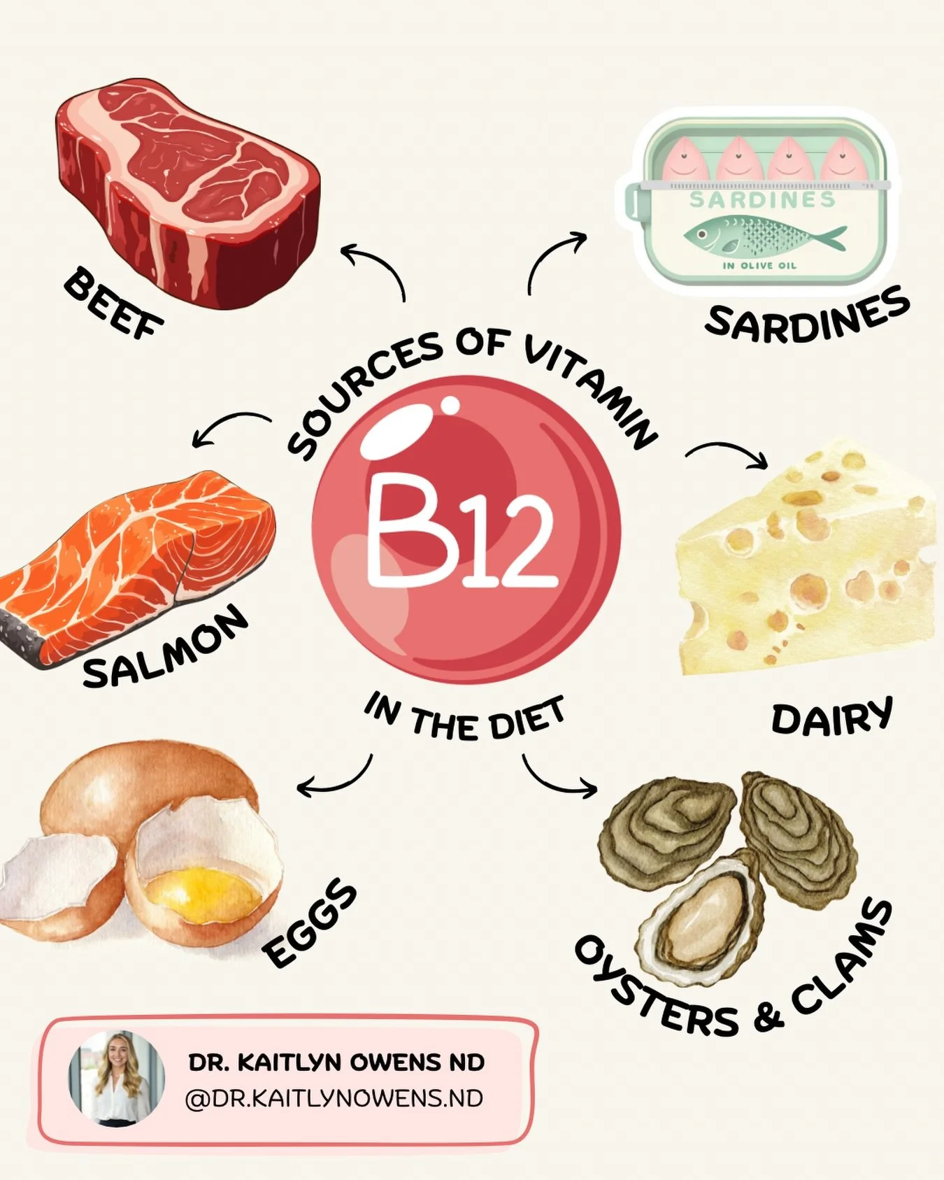 Food sources of vitamin B12🧀🥩🐟🍗🥚
&bull; Meat (beef, poultry)
&bull; Fish + seafood (salmon, tuna, sardines)
&bull; Eggs
&bull; Dairy
&bull; Fortified plant milks + cereals

Even with a good diet, some people may still need to supplement, especia