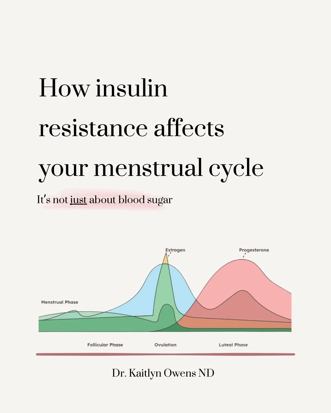 How does insulin resistance impact your cycle??

Insulin interacts with multiple reproductive hormones, including estrogen, androgens, and progesterone.

When insulin levels are chronically elevated, it can:
- increase androgen production
- influence
