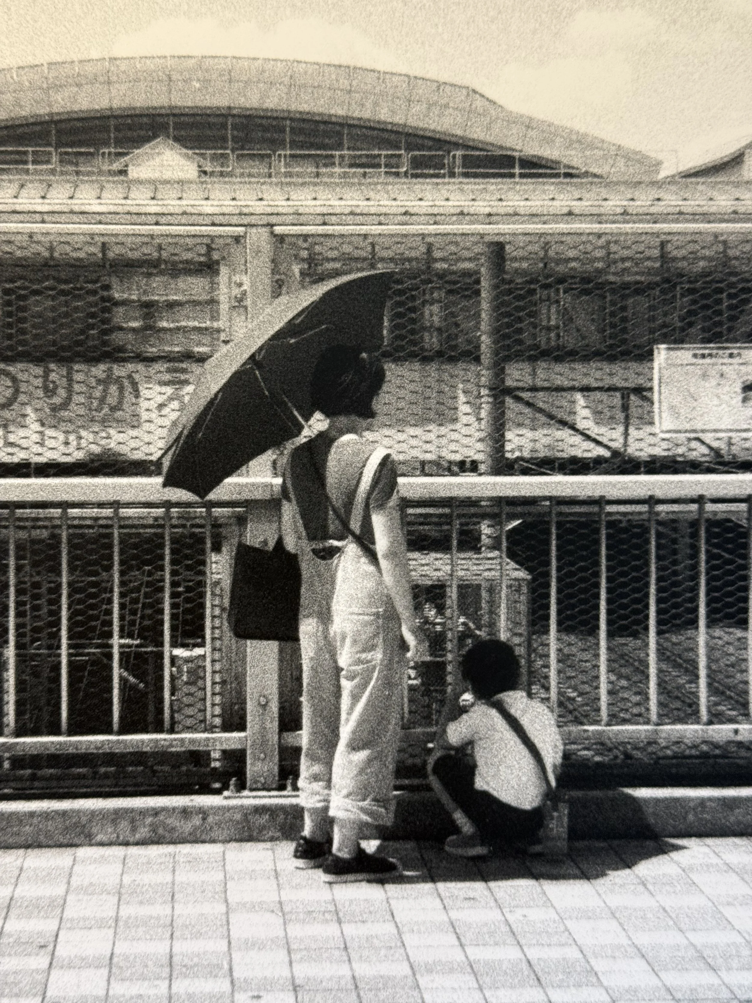 母 - Mother