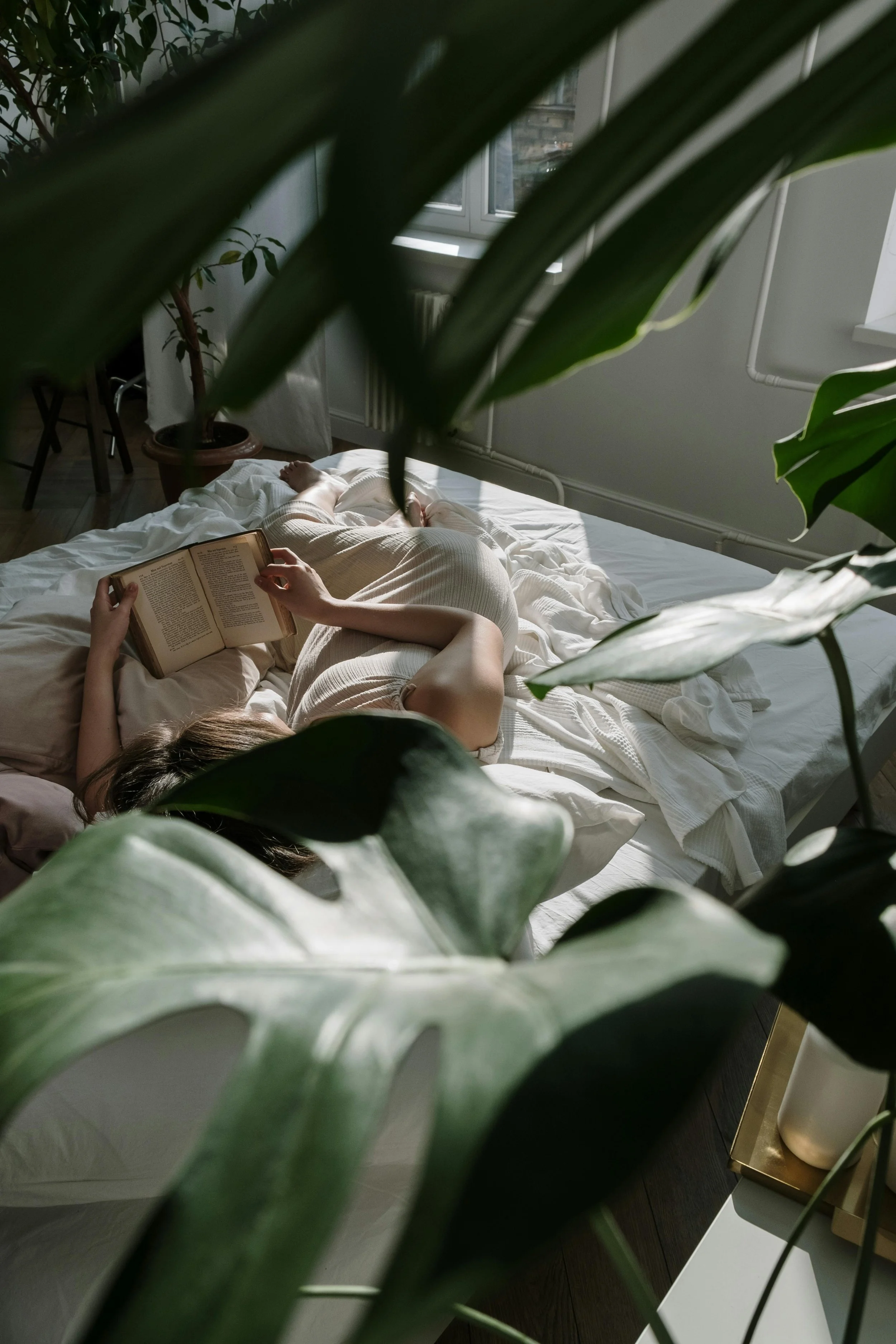 Woman lying in bed reading a book, seen through large green leaves of a plant in a sunlit bedroom with white bedding and furniture.