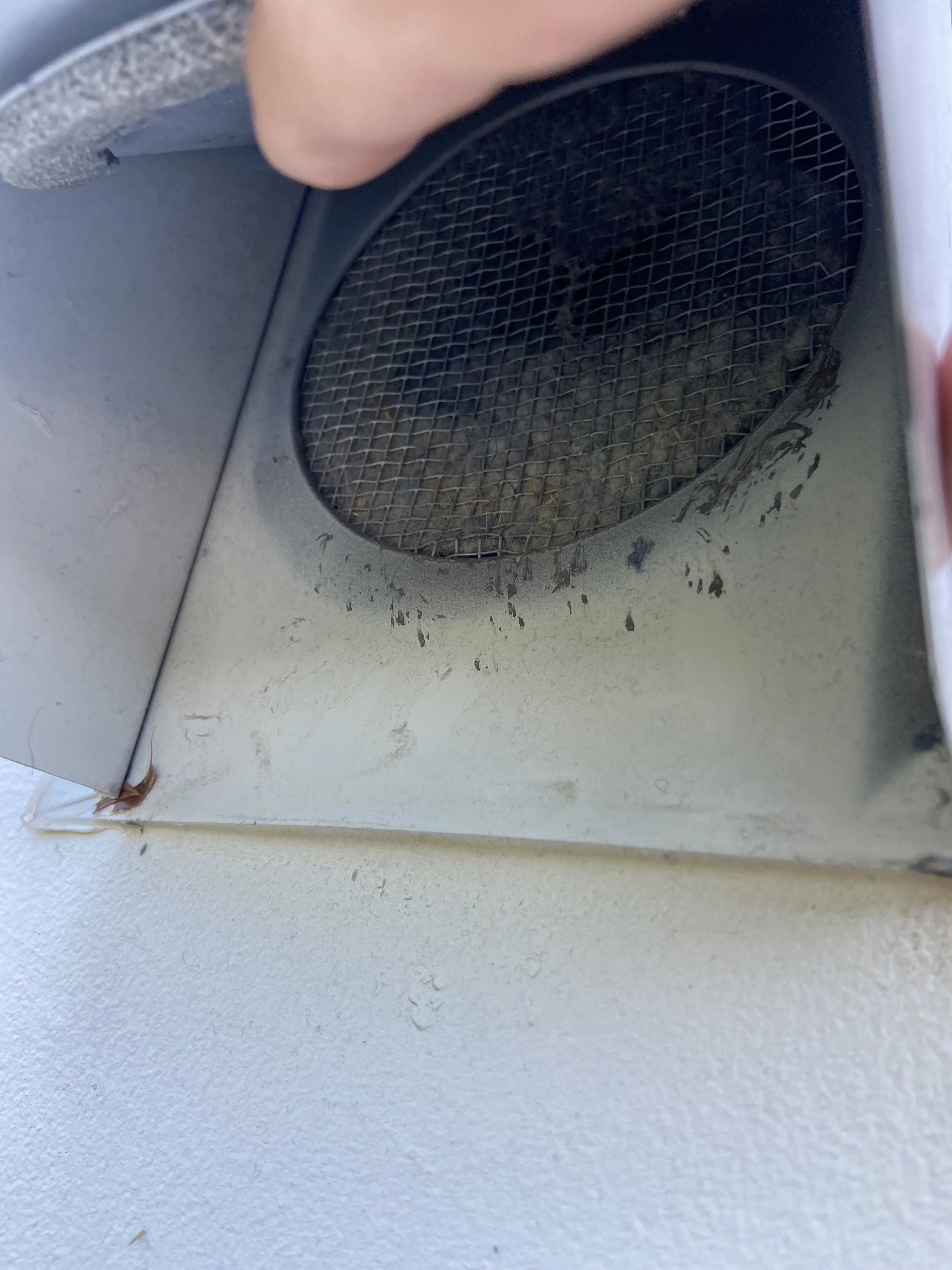 A Wall Vent with a built in screen from manufacturer -this should be removed per building code