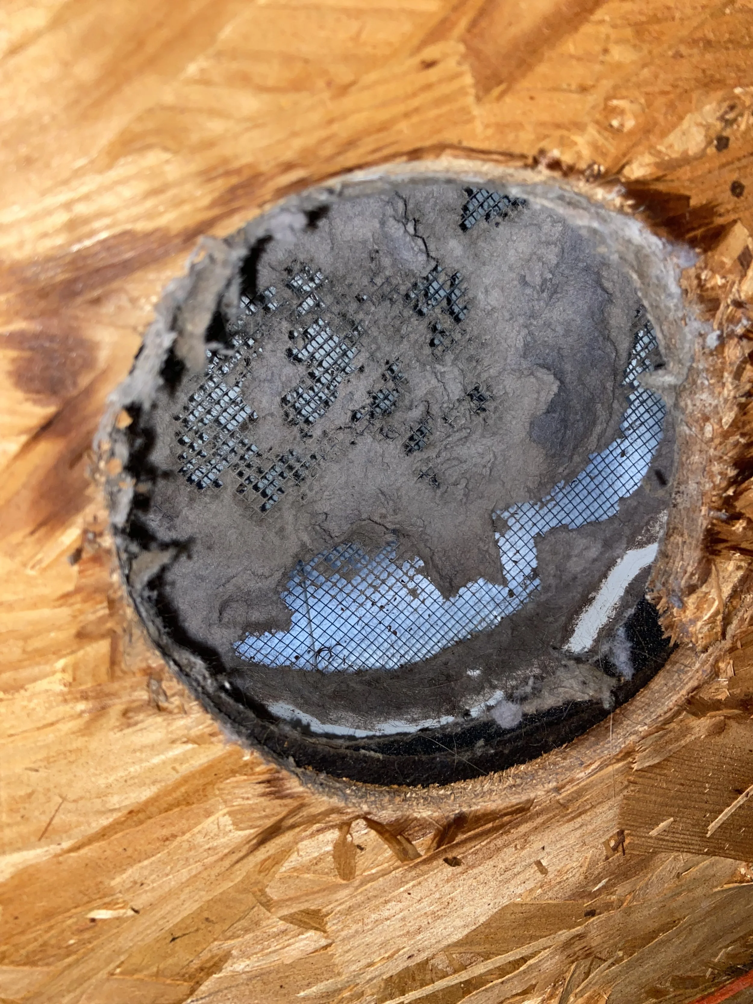 Bottom side of a tortoise shell roof vent- clogging and moisture accumulation of the roof decking