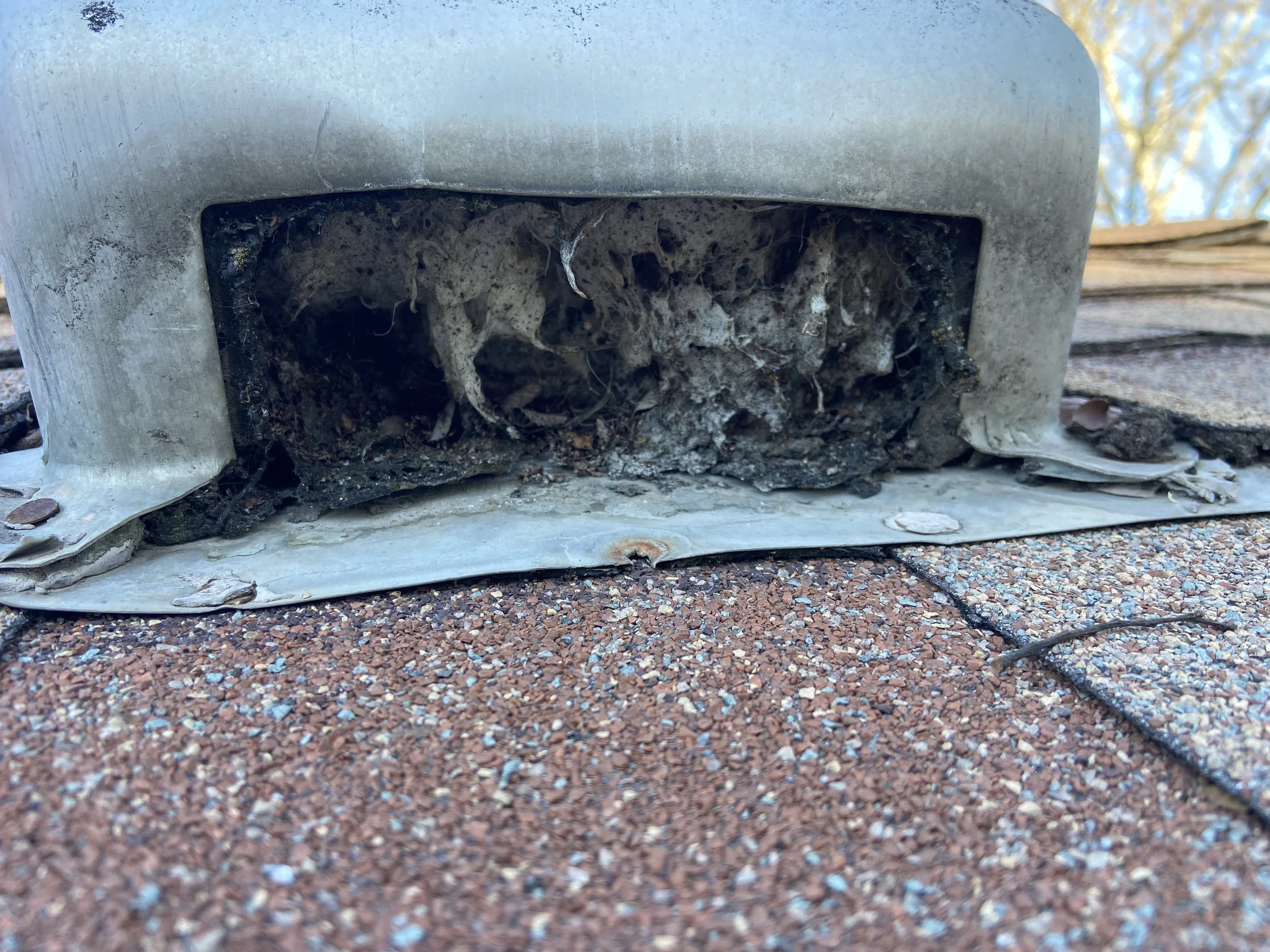 Tortoise Shell Vent - not up to building code