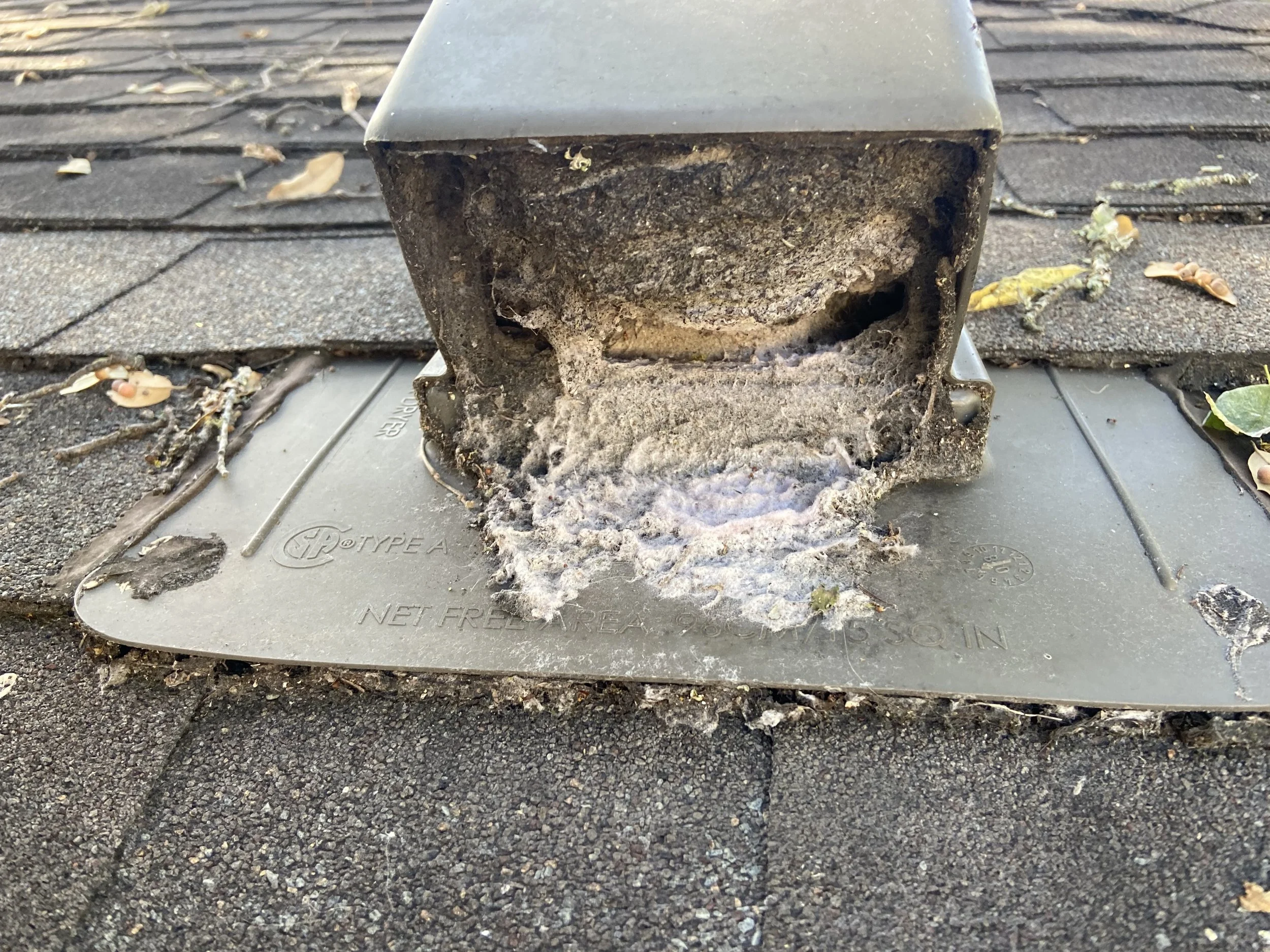 Roof Vent w/ Damper Clogged by Dryer Lint