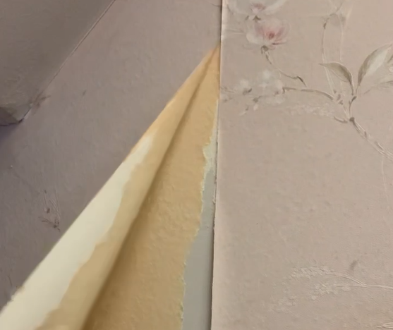 How to Remove Old Wallpaper Like a Pro