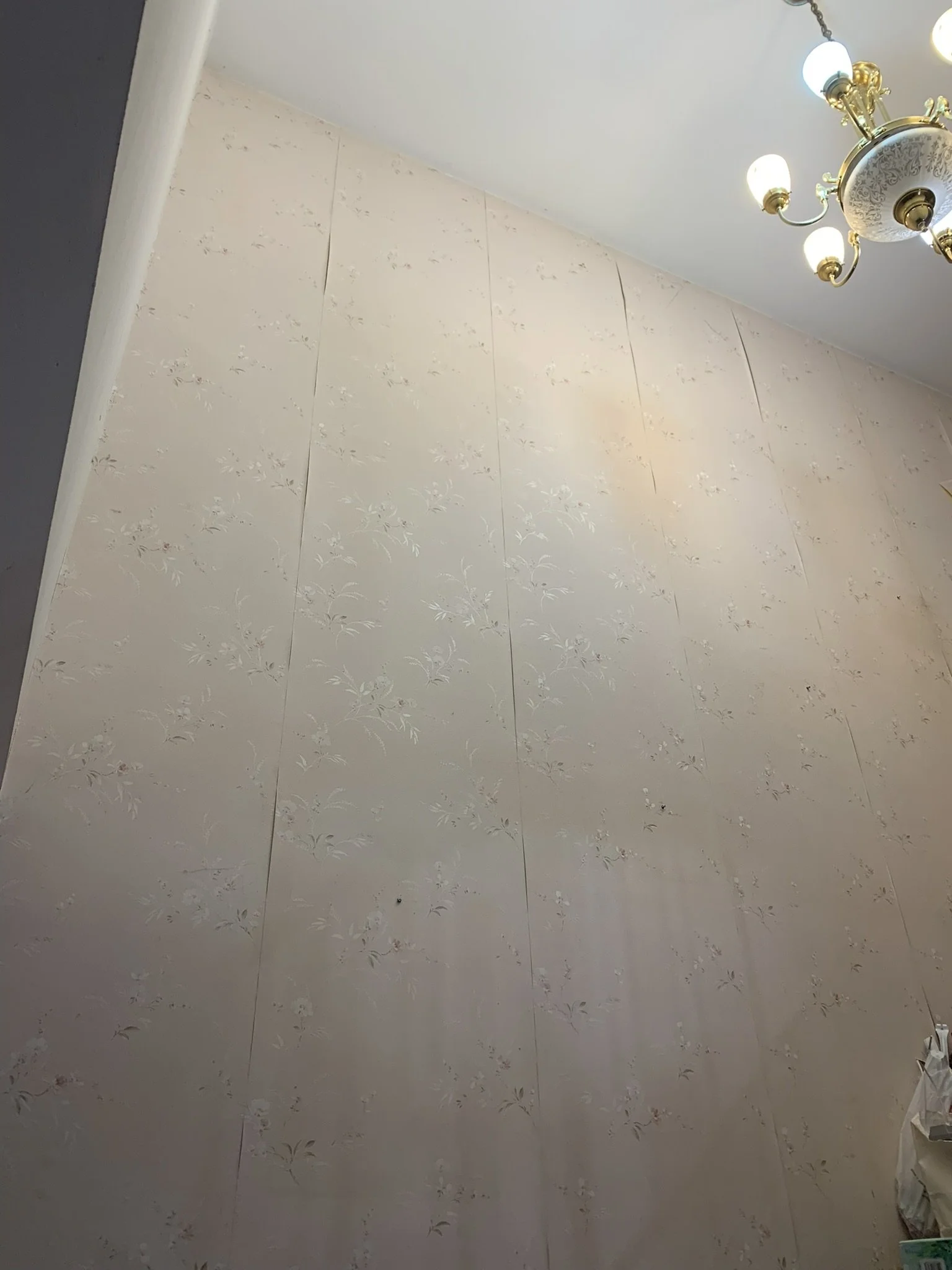 Intimidating old wallpaper needing to be removed. The seams are popping and separating.