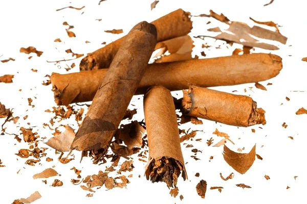 How to Fix Common Humidor Problems