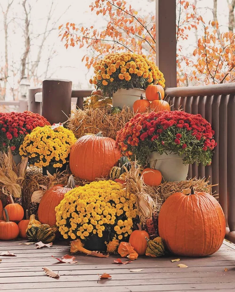 🍂 The weather&rsquo;s cooler, the kids are back in school, and it&rsquo;s officially Fall decor season! Porch &amp; Petal is now booking complete Fall porch upgrades &mdash; mums, pumpkins, cornstalks, and all the cozy touches to welcome friends and
