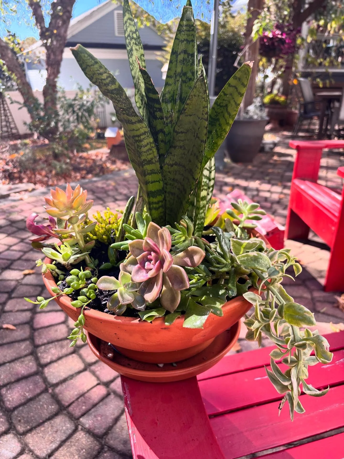 ✨Gift idea for the plant lovers!✨
Did you know I also create custom gift containers for plant lovers? 💚

This one&rsquo;s a succulent planter &mdash; low-maintenance, versatile, and beautiful year-round. It can live happily inside or outside, depend