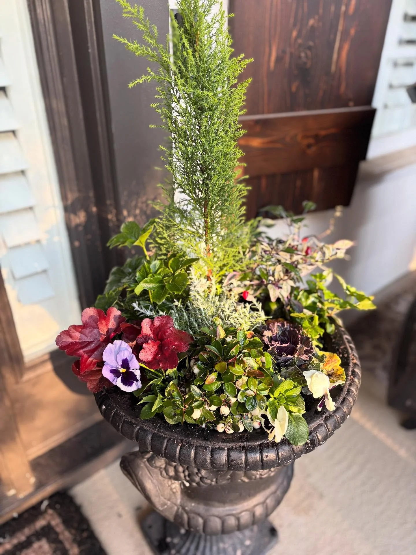 The first frost arrives&hellip; and suddenly the garden shows you exactly what needs to be cleaned up. 🍂❄️
Spent annuals? Gone.
Leggy stems? Trimmed.
Perennials ready to sleep? Tucked in.

And once the old is cleared out, winter beauty gets its chan