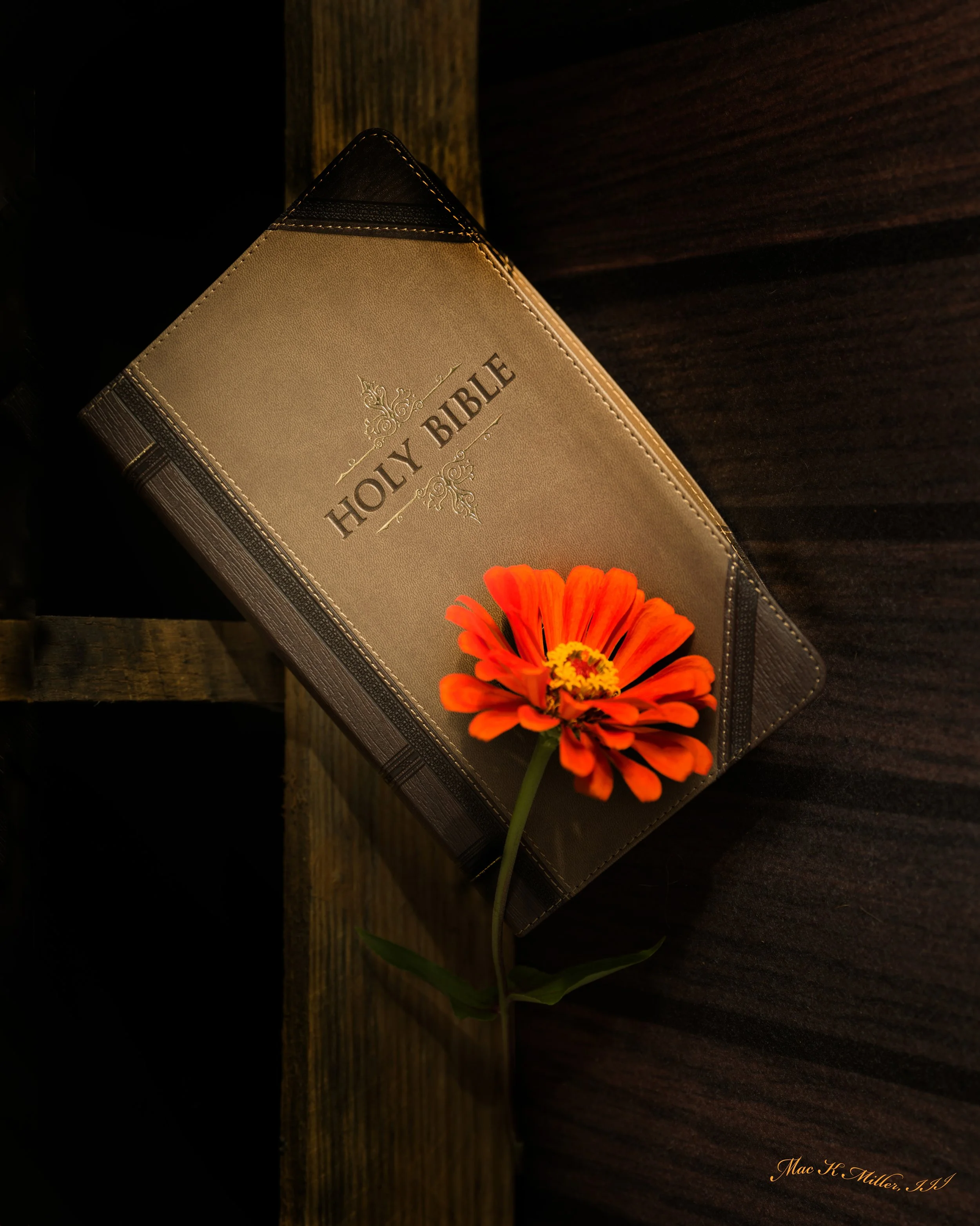 Holy Bible 2517.102x.jpg