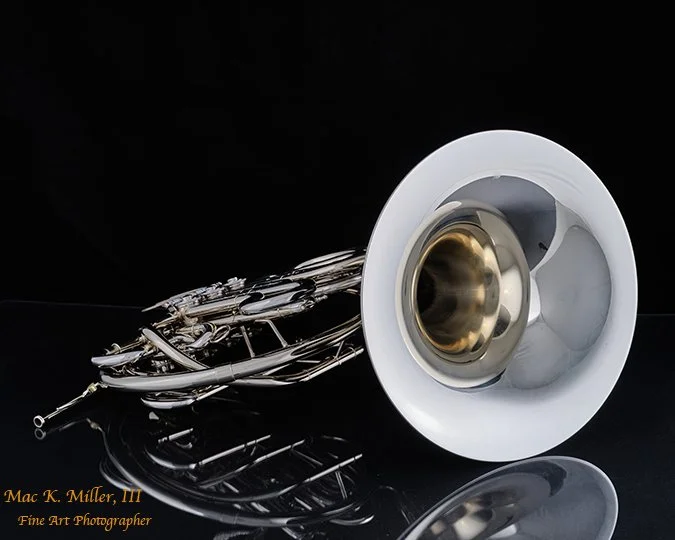 WEB French Horn in Black and White 2059.216.jpg