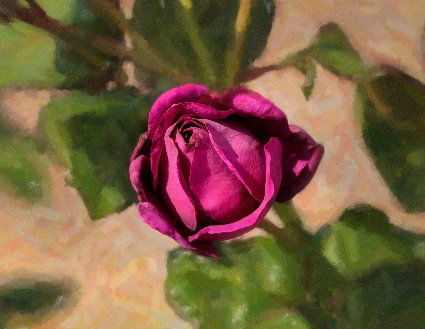 WEB Heirloom Rose 2025.307.jpg