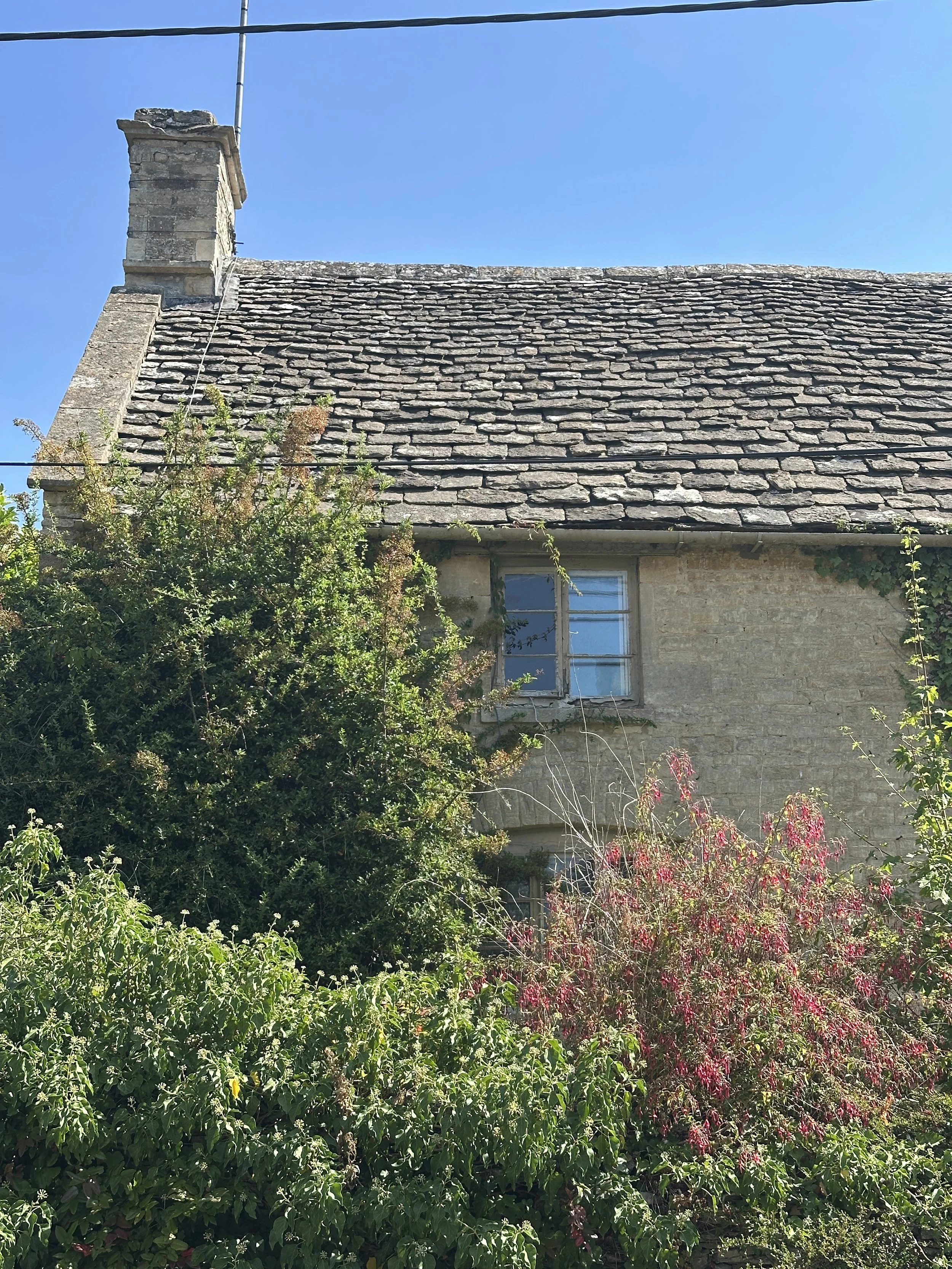 A stone house with moss-covered roof, a chimney, and a window, surrounded by lush green plants and shrubs under a clear blue sky.