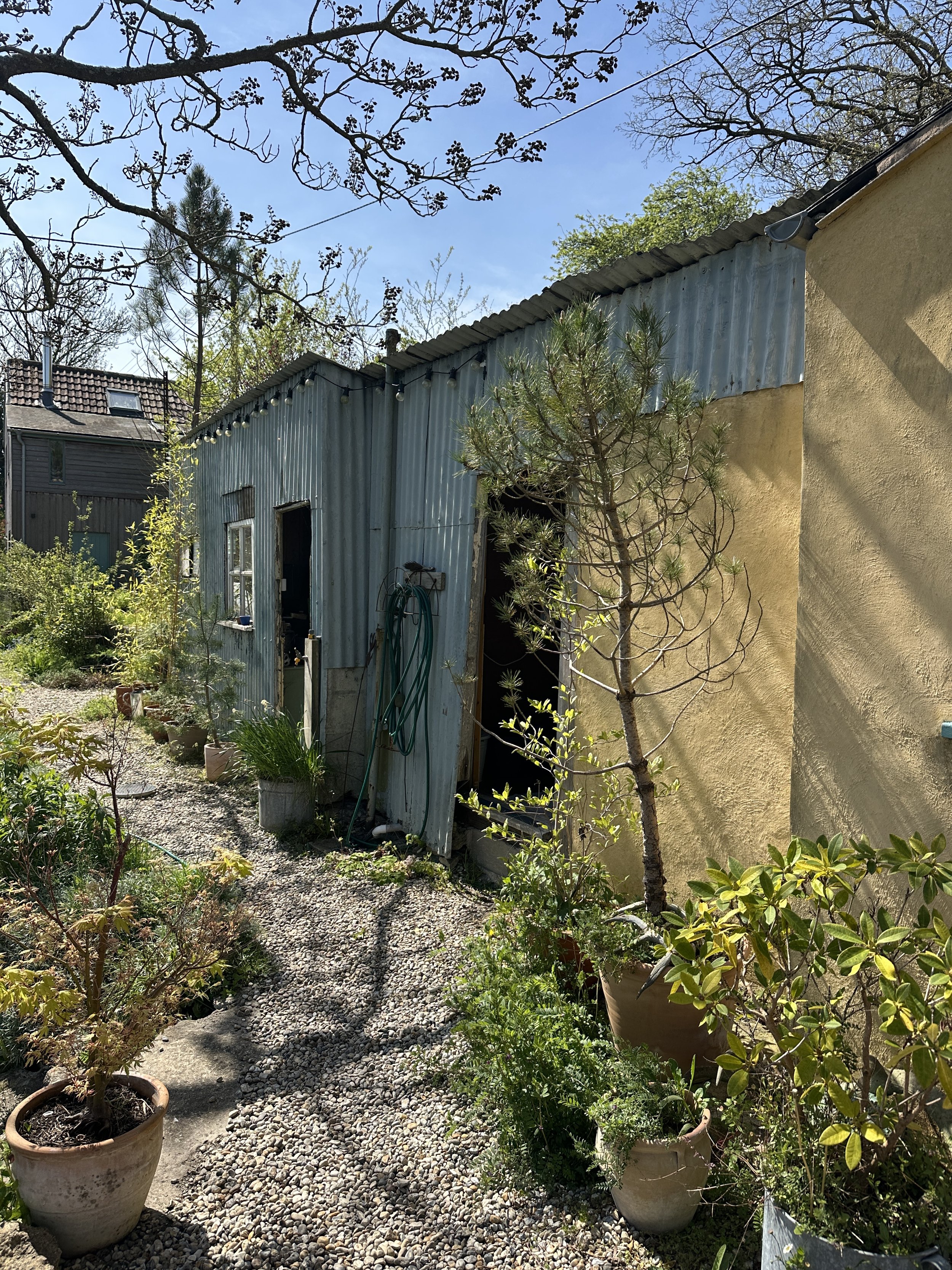 A backyard garden with potted plants, a gravel pathway, and a weathered metal shed. Trees and shrubs surround the area, with a clear blue sky overhead.