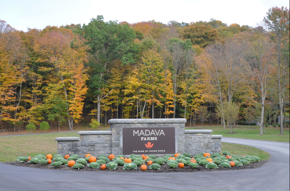 Chasing the Maple Syrup Trail from New York to New Brunswick