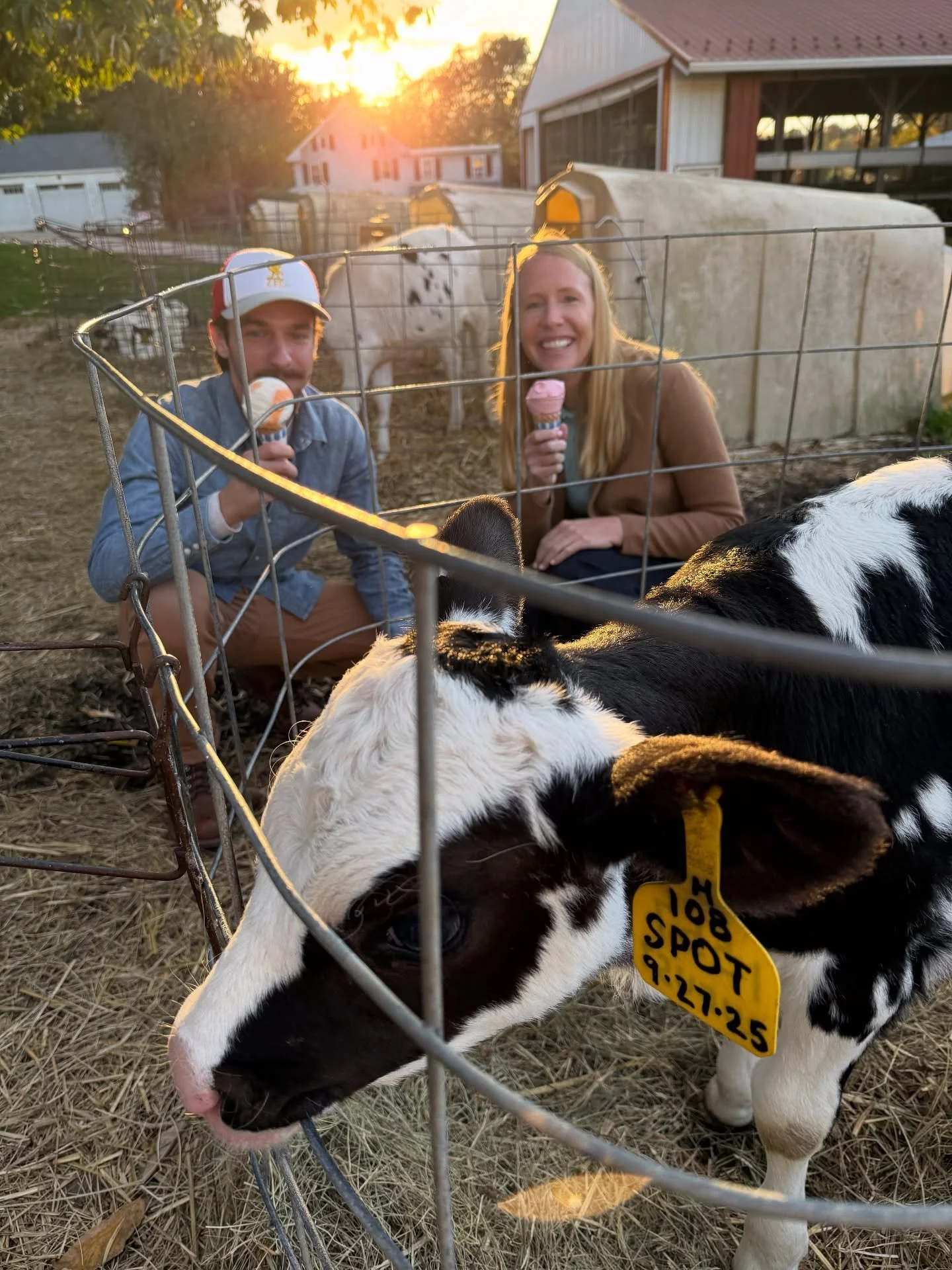 π¦π From Cow to Cone to Cherry Bounce & Classic Italian — my first day exploring the rich history and food of York County! ποΈβ¨
**Highlights:** 
πΎ Perrydell Ice Cream with Dylan Perry — experience a true *cow to cone* ice cream adv