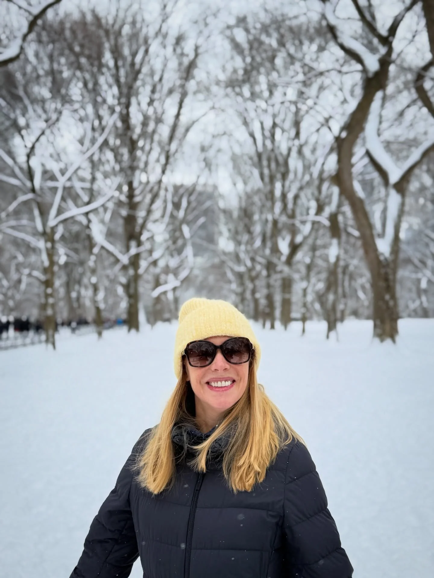 Central Park in the snow. ⛄️ Happy holiday vibes from NYC. 

#nyc #centralpark #snow #nycphotography #snowday