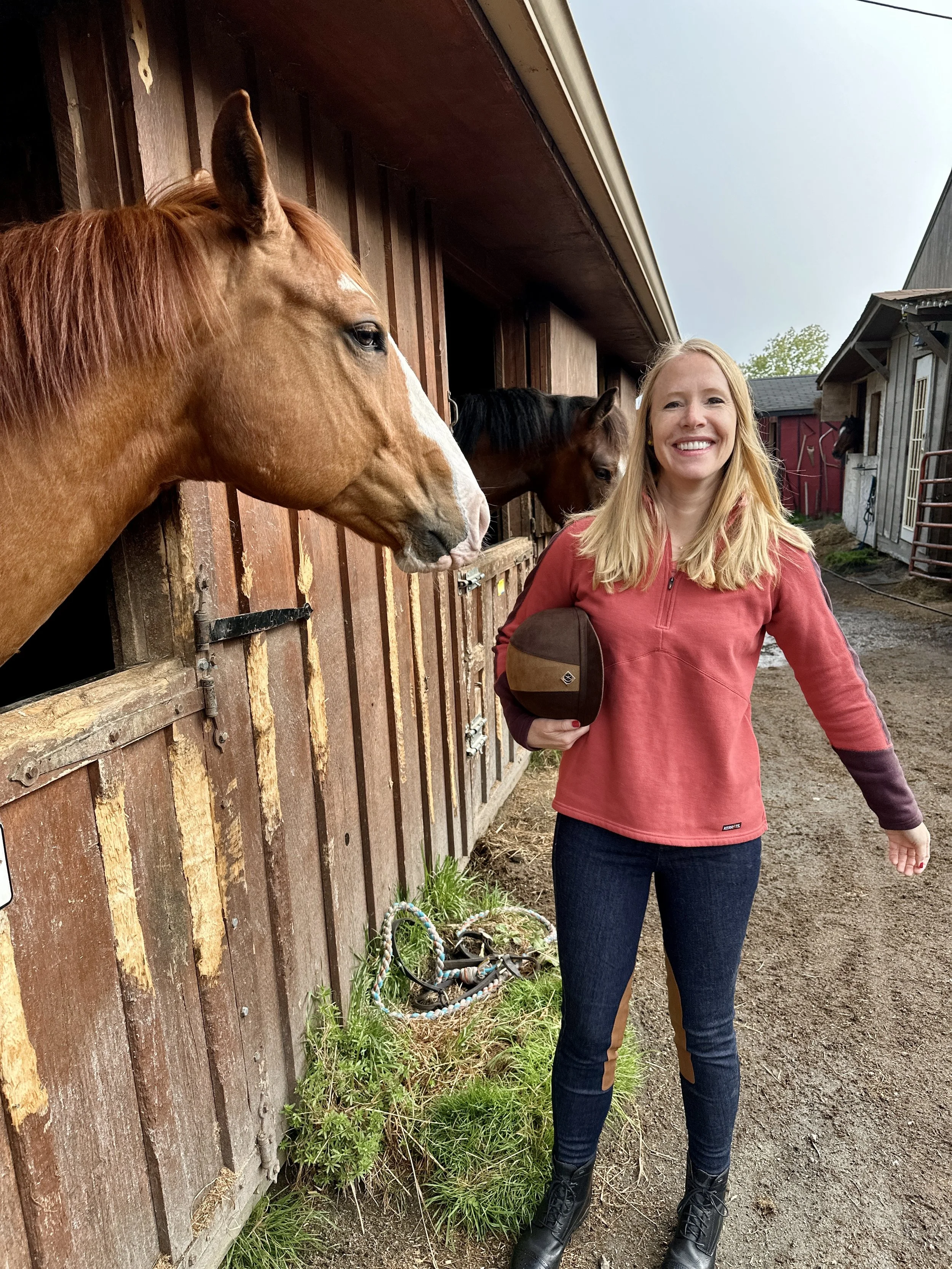 Garrett-Mountain-Darley-Horse-Riding-NJ.jpg