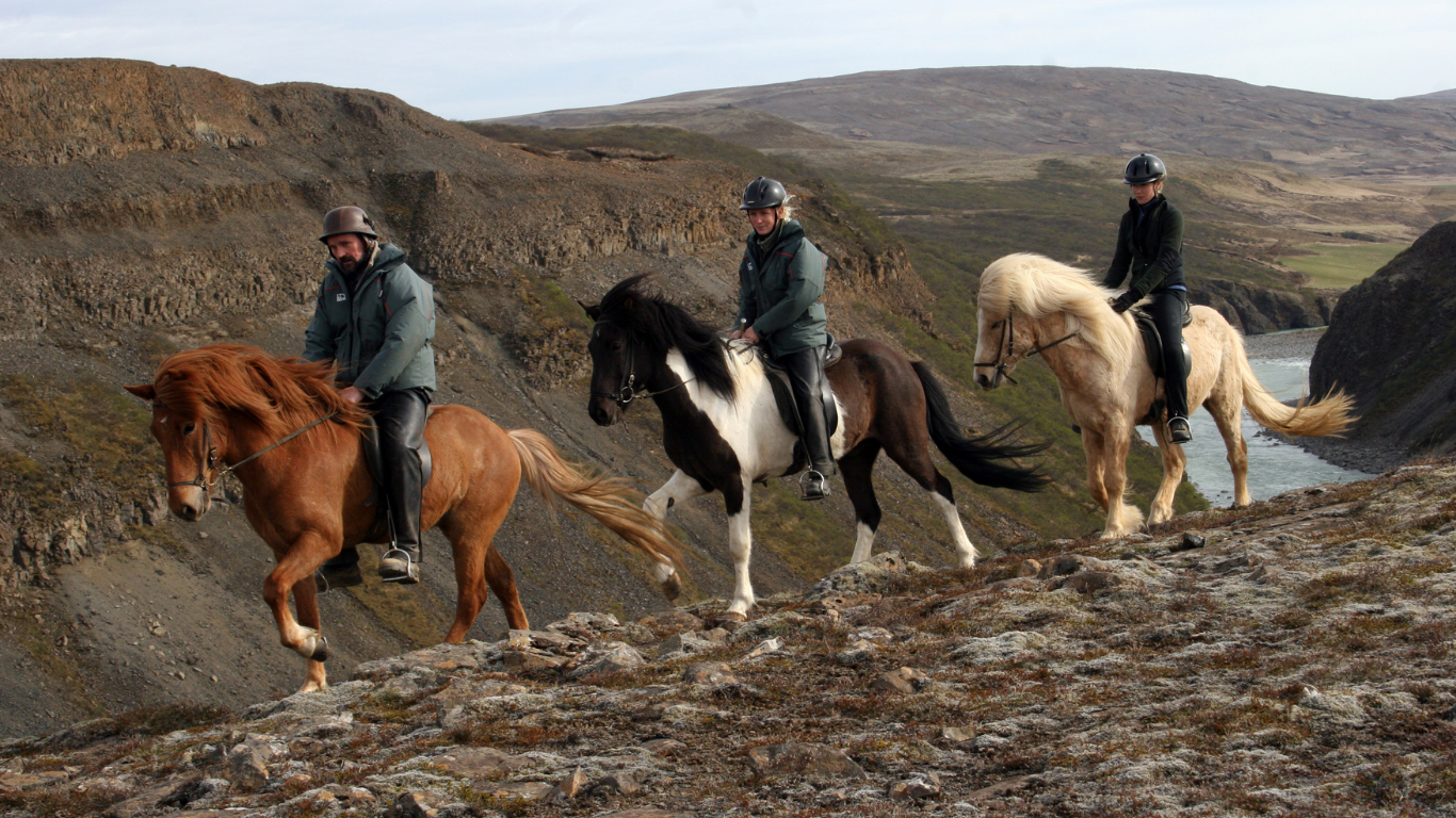 Iceland on Horseback: Waterfalls, Lava Landscapes and Travel Tips from Equitrekking