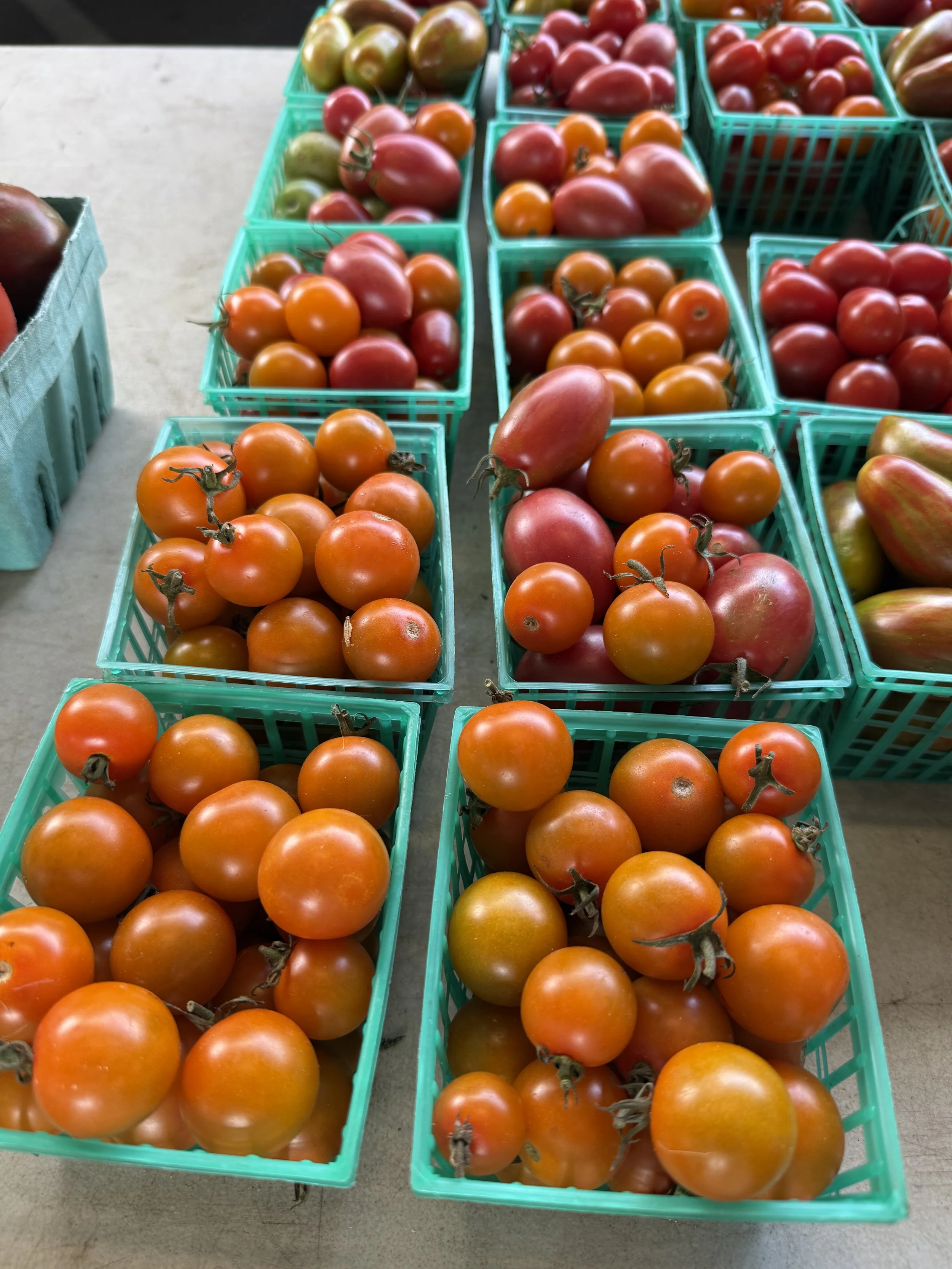 Ann-arbor-farmers-market-.JPG