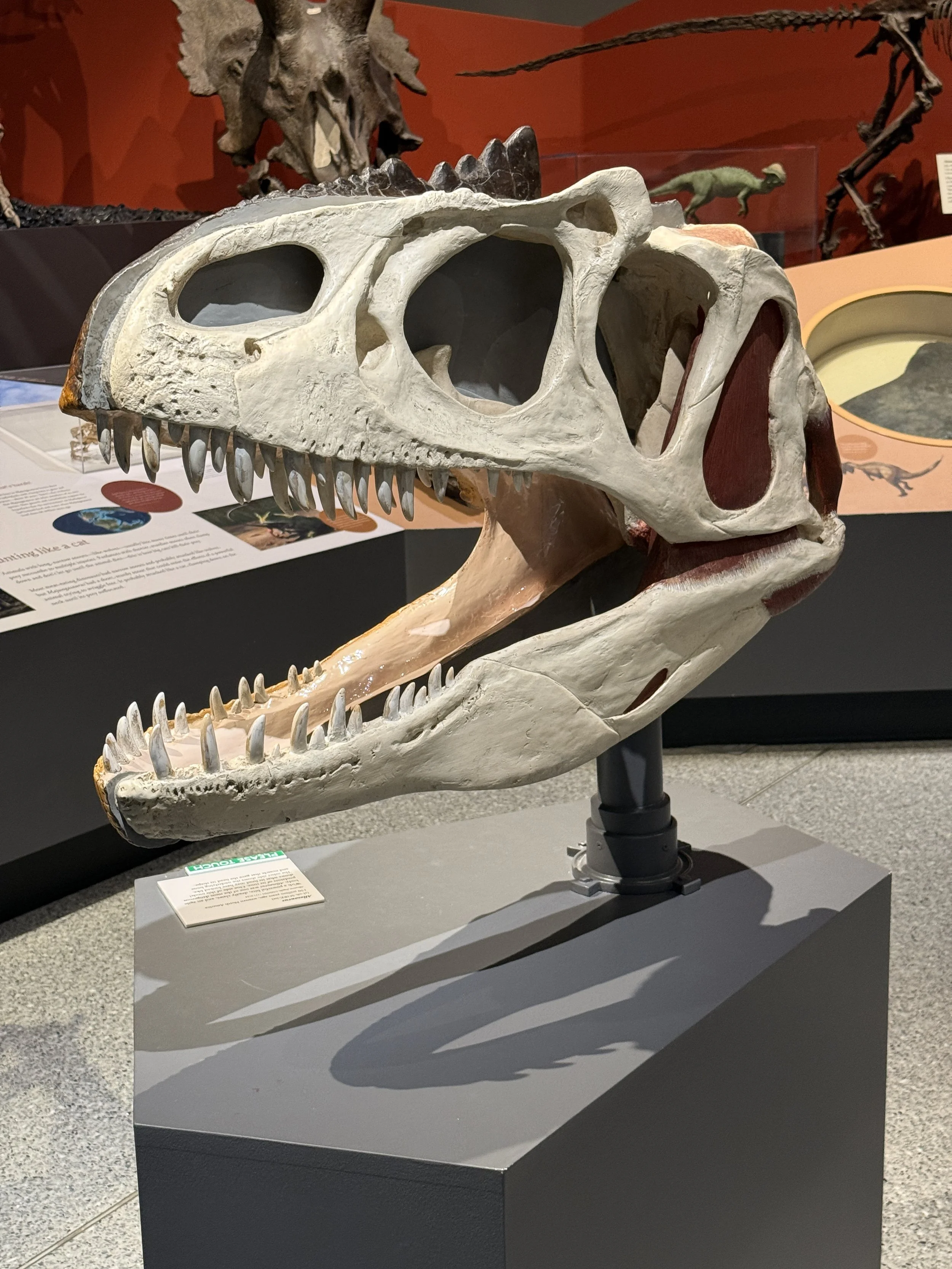 UofM-Natural-History-travels-with-darley.JPG