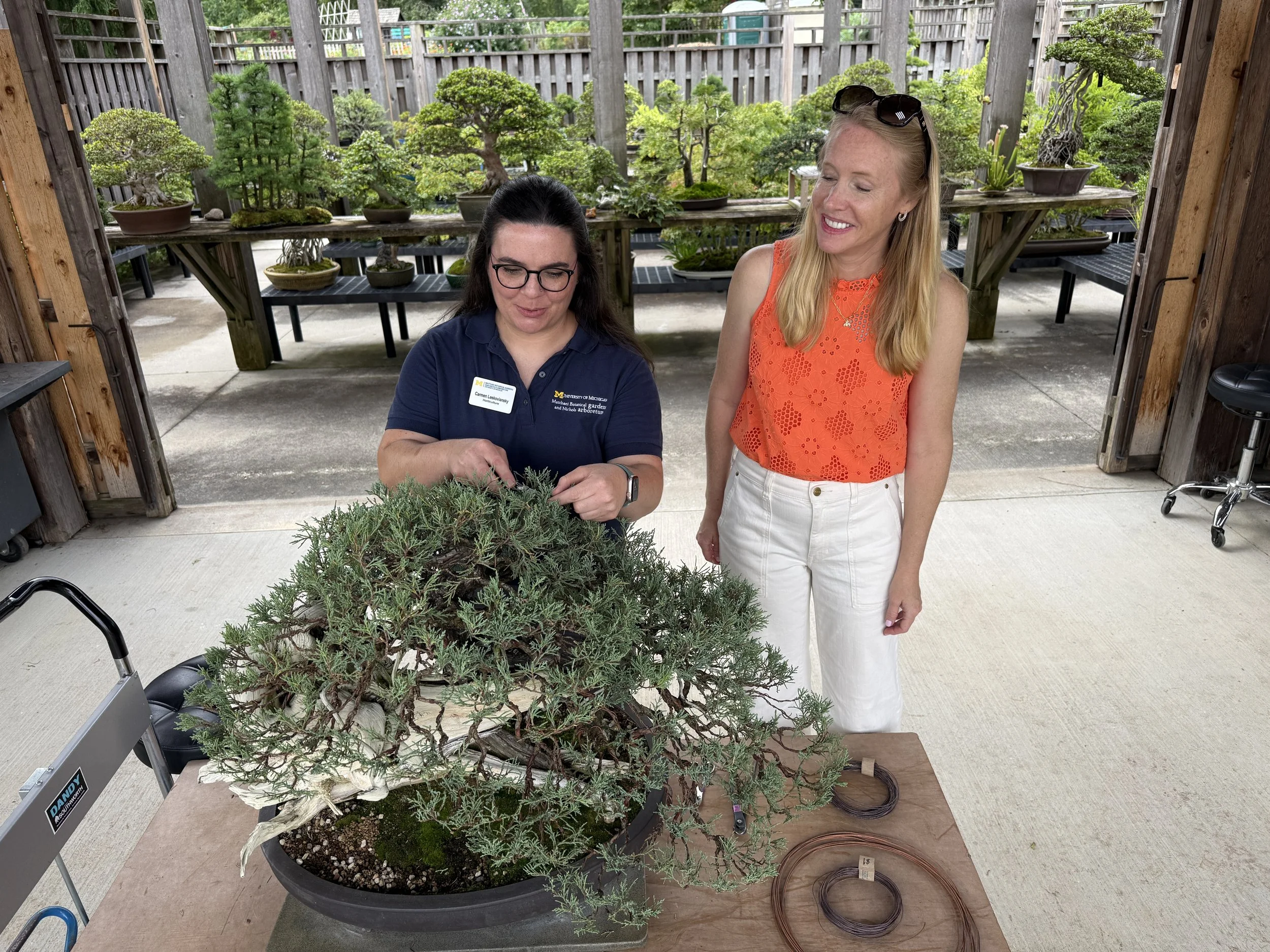 Ann Arbor: Open to Explore Podcast—Accessibility, Hidden Gems &amp; Local Flavors