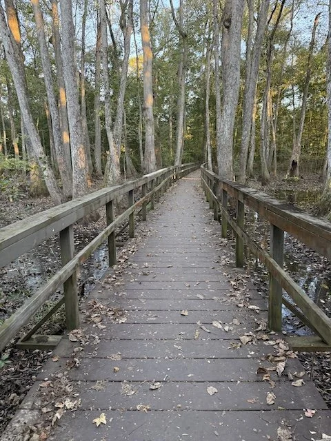 Old Trace Boardwalk located in the grounds of the Mississippi Crafts Center - a great place to quiet down and reflect.