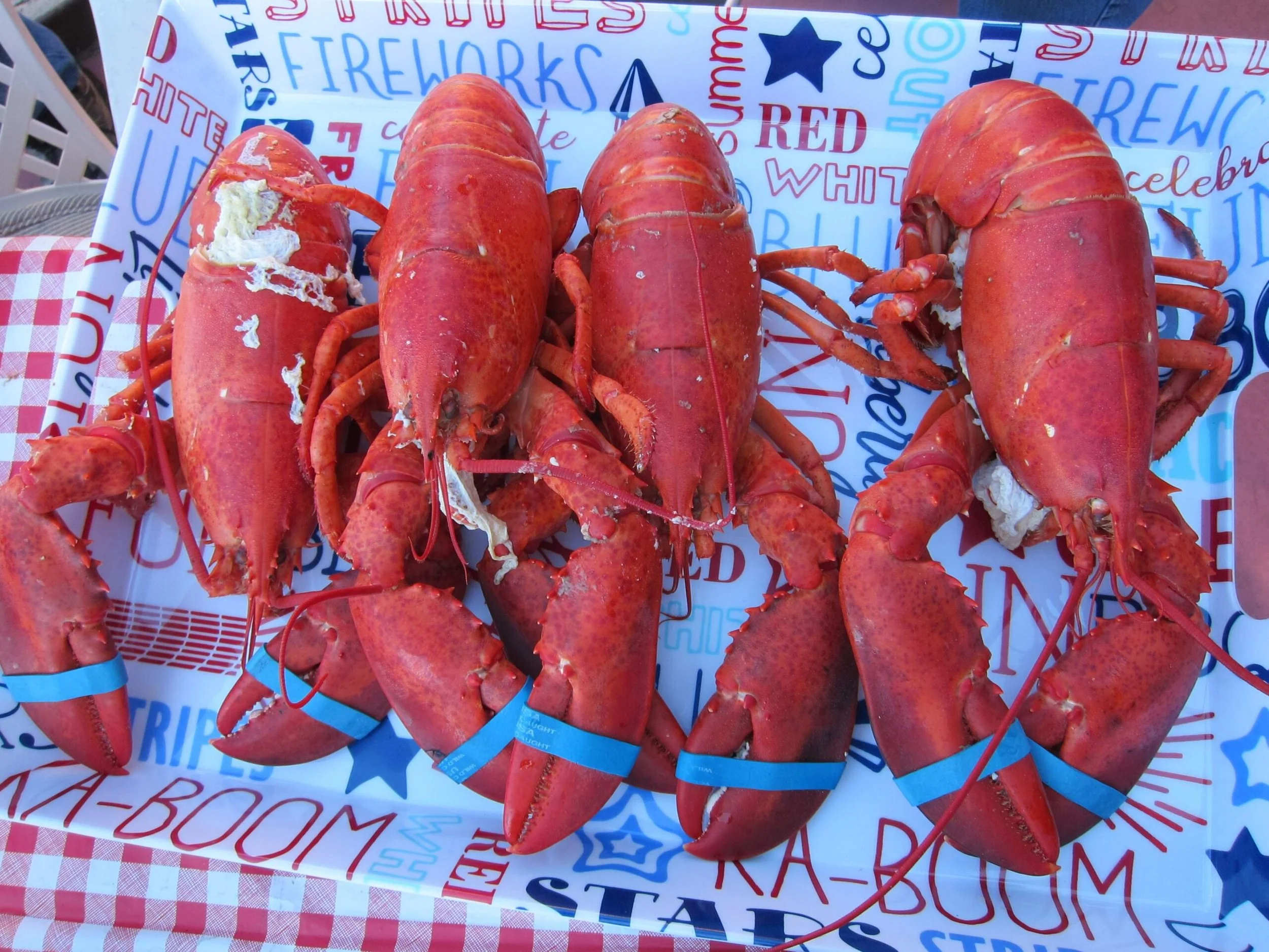 Lobsters Maine Vacation Ideas Travels with Darley