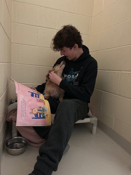A young person sitting on a bench in a small room, holding a small dog and sharing a moment of affection.