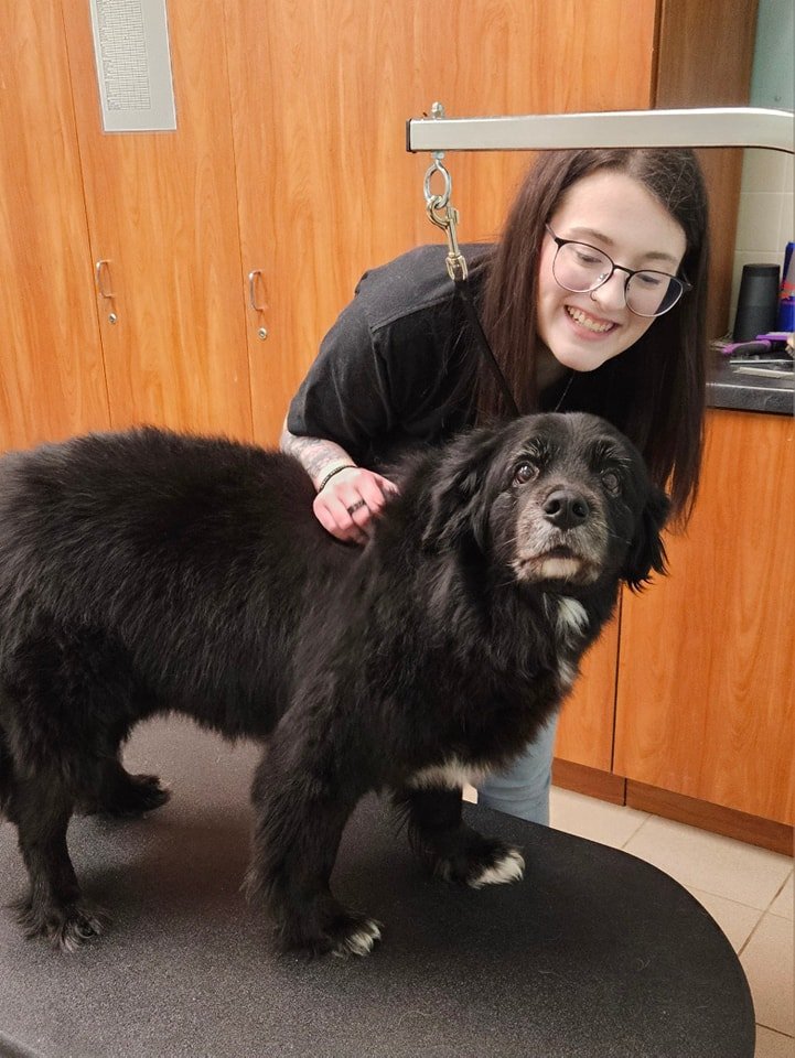 A woman with glasses smiling at a black dog with some white fur on its paws, standing on a grooming table in a grooming salon.