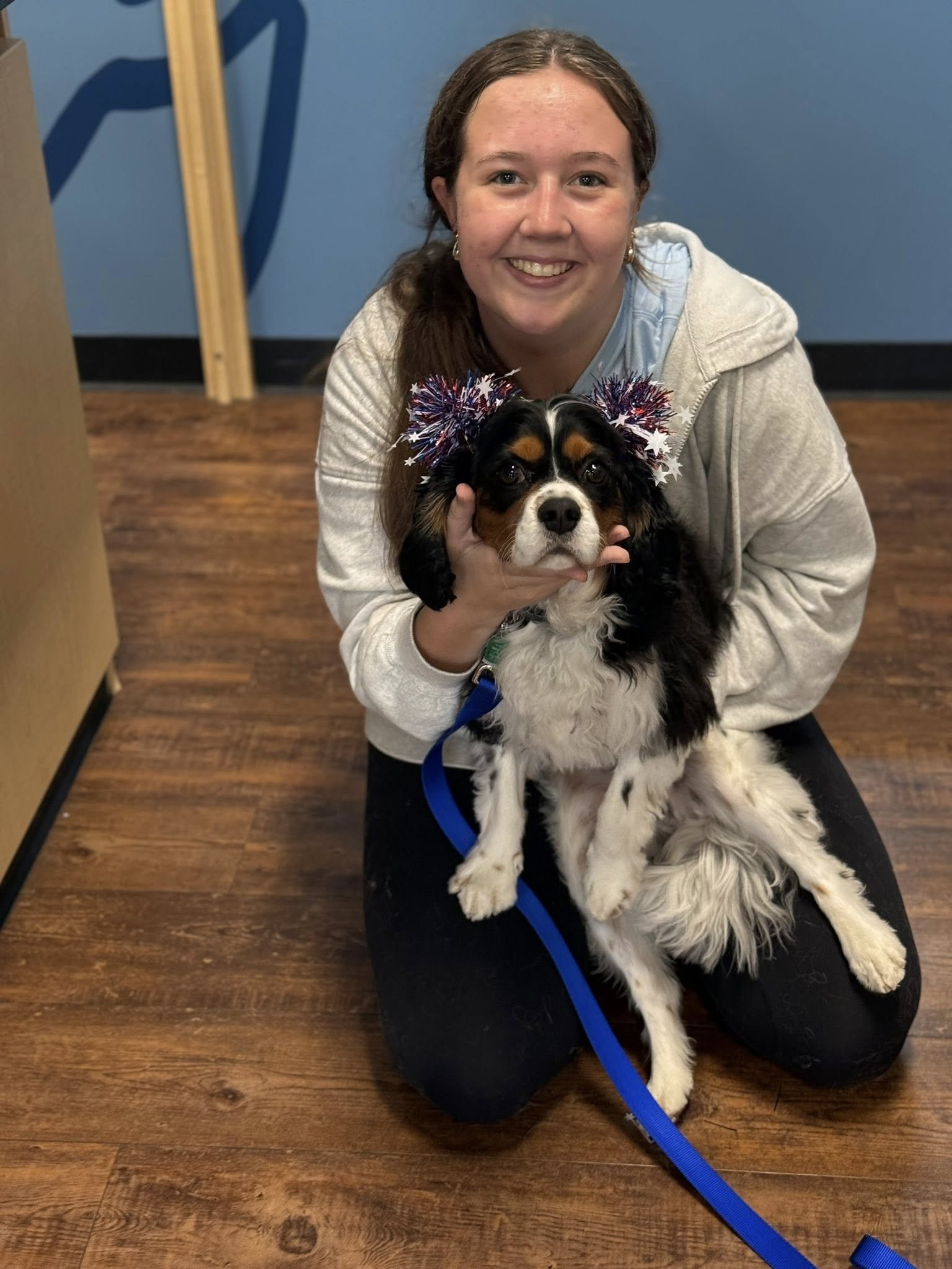 A smiling woman with long brown hair, wearing a light gray hoodie, is kneeling on a wooden floor. She is holding a black, white, and brown Cavalier King Charles Spaniel puppy, which is decorated with red, white, and blue tinsel on its head, in her ha