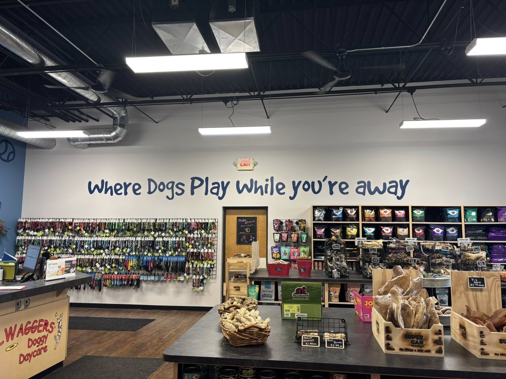 Dog toy aisle in a pet store with a sign that says 'Where Dogs Play While you're away.' Shelves stocked with dog food, toys, and accessories, and a counter with dog treats.