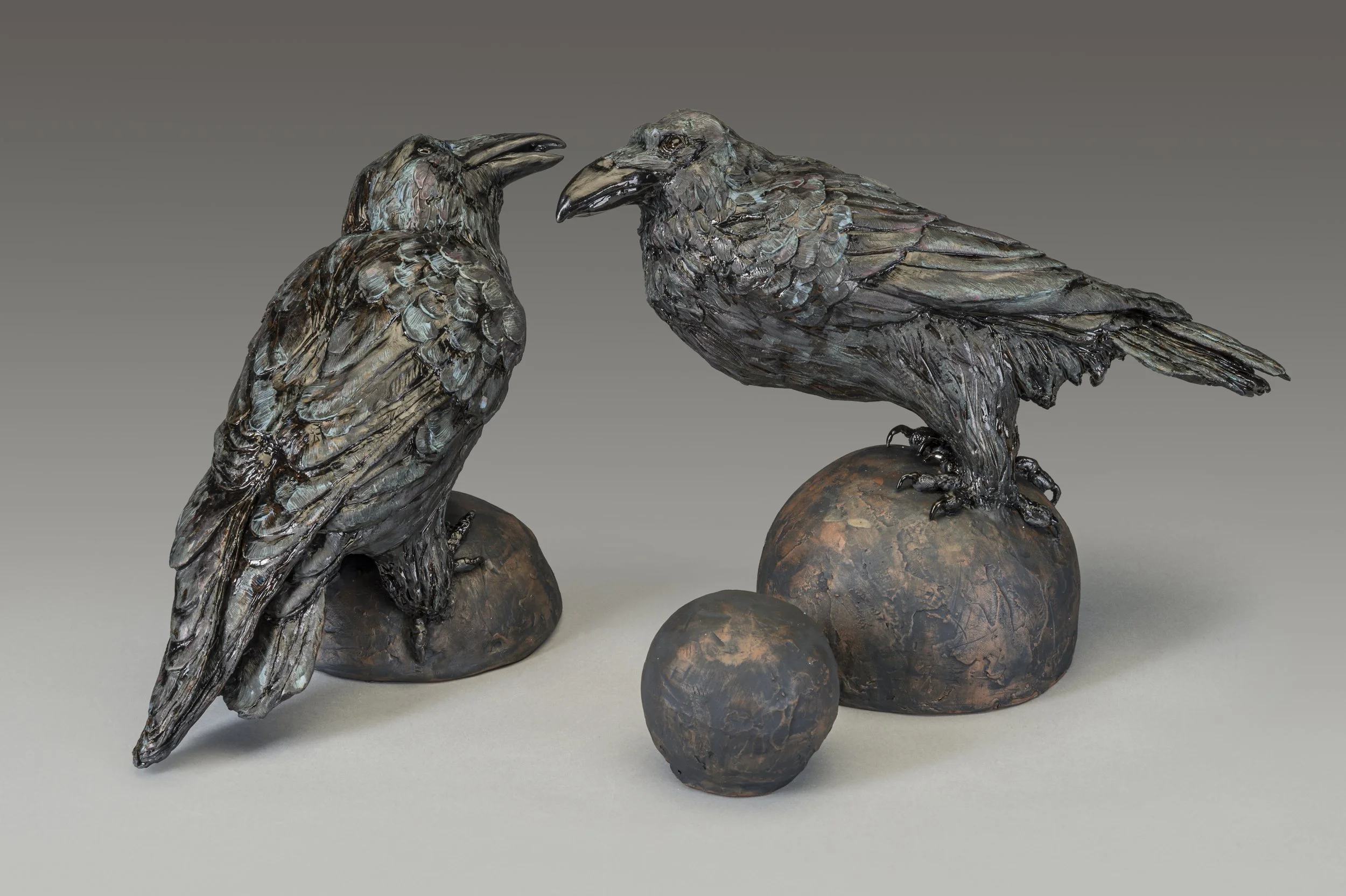 A Raven Conversation