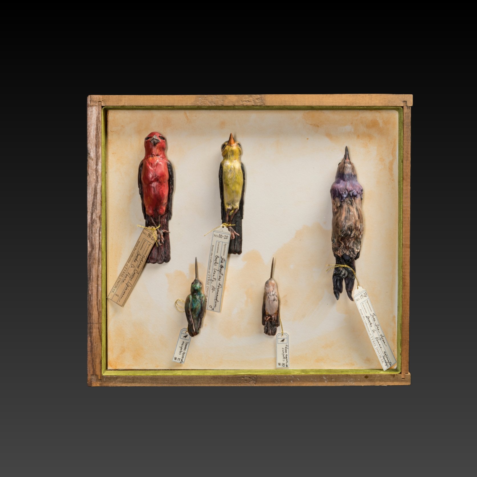 5birds.jpg