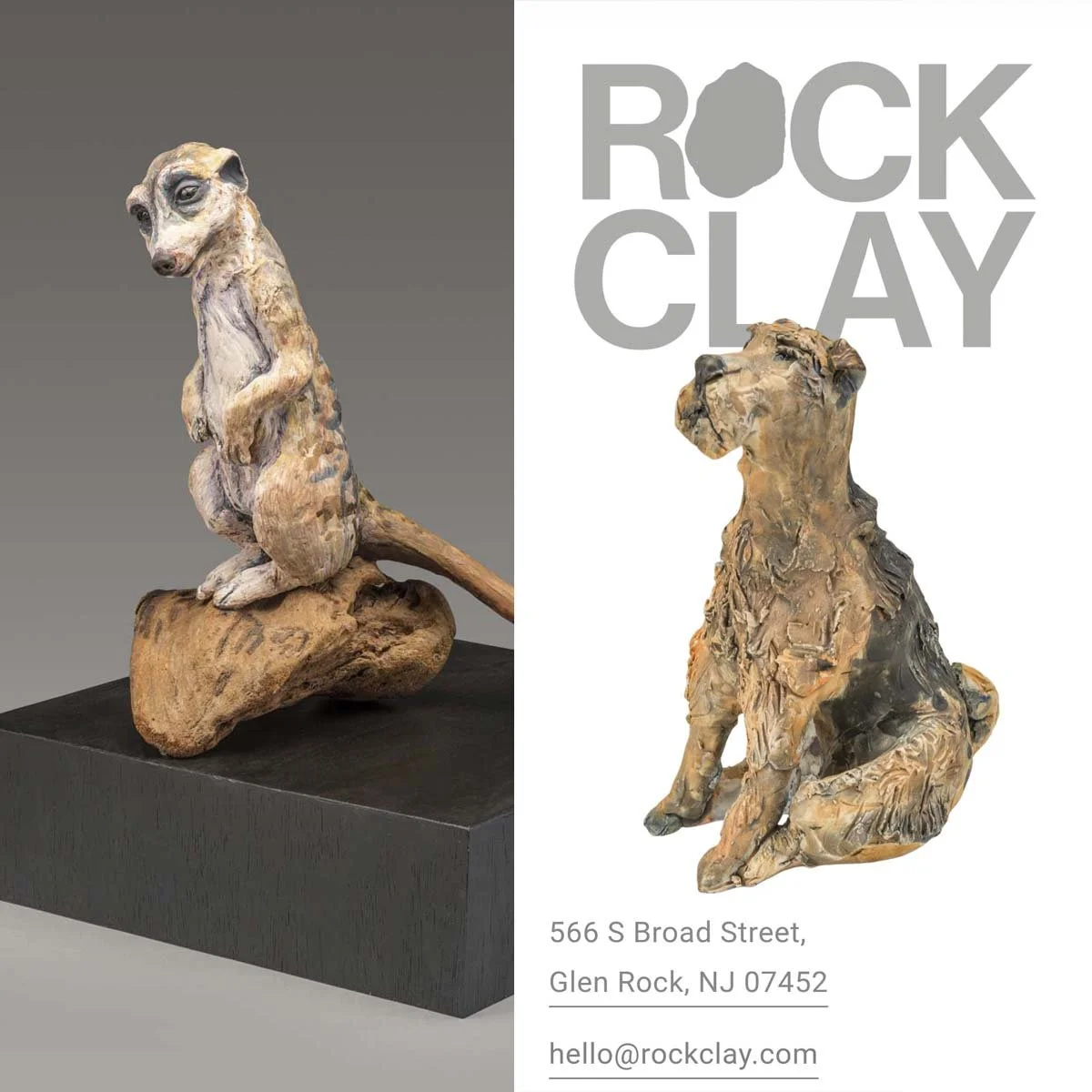 Meerkats and Other Animals